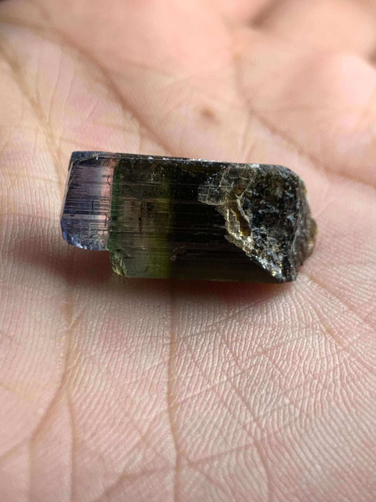 Unique tri colour tourmaline crystal 19.20 carat