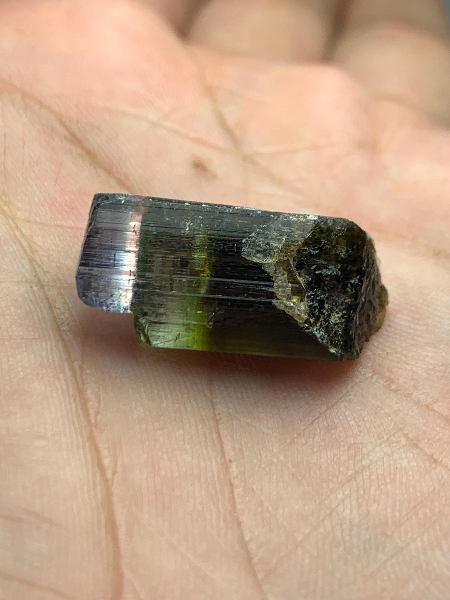 Unique tri colour tourmaline crystal 19.20 carat