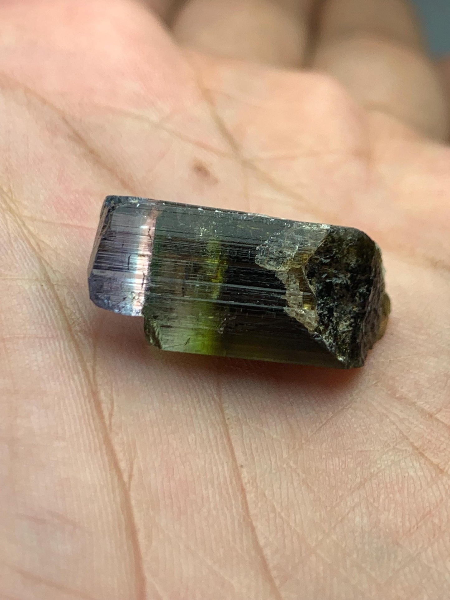 Unique tri colour tourmaline crystal 19.20 carat