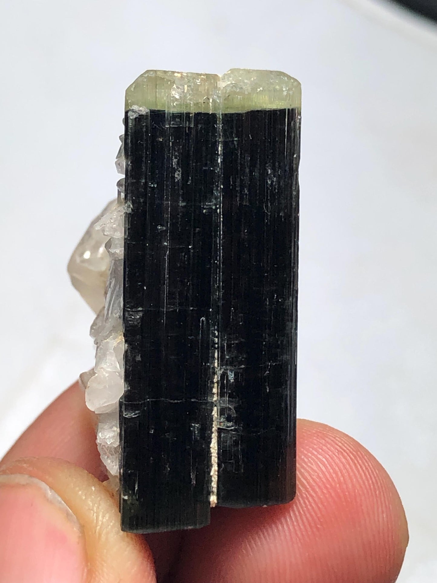 Tourmaline Crystal 70.60 ct - Terminated Specimen with Quartz