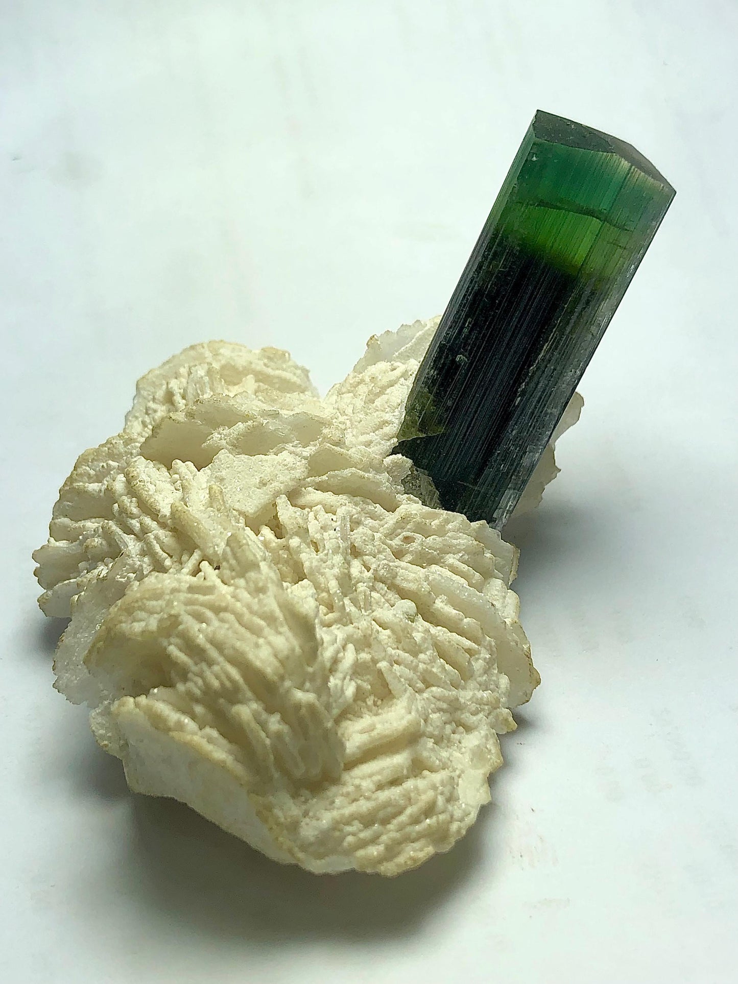 Bi Colour Tourmaline Specimen 109 g – Rare Display Piece from Afghanistan