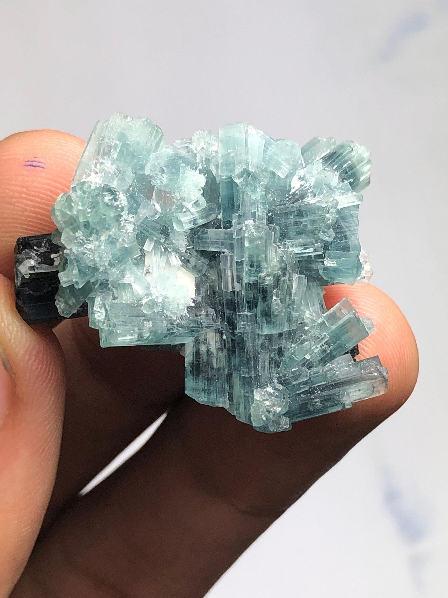 Indicolite Tourmaline Crystal 54 ct - Afghan Collector’s Mineral Cluster