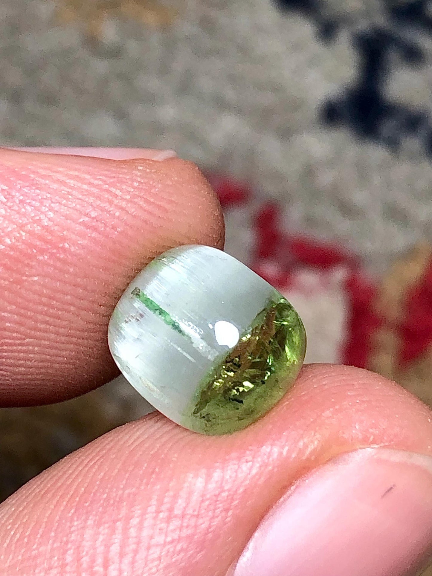 3.60 Carat Bi-Color Cat's Eye Tourmaline Cabochon: Flat Back, Afghanistan Origin