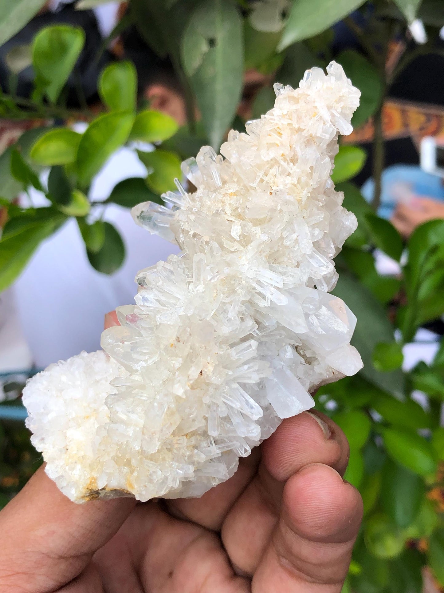 Quartz Crystal Specimen 135 g - Collector Specimen