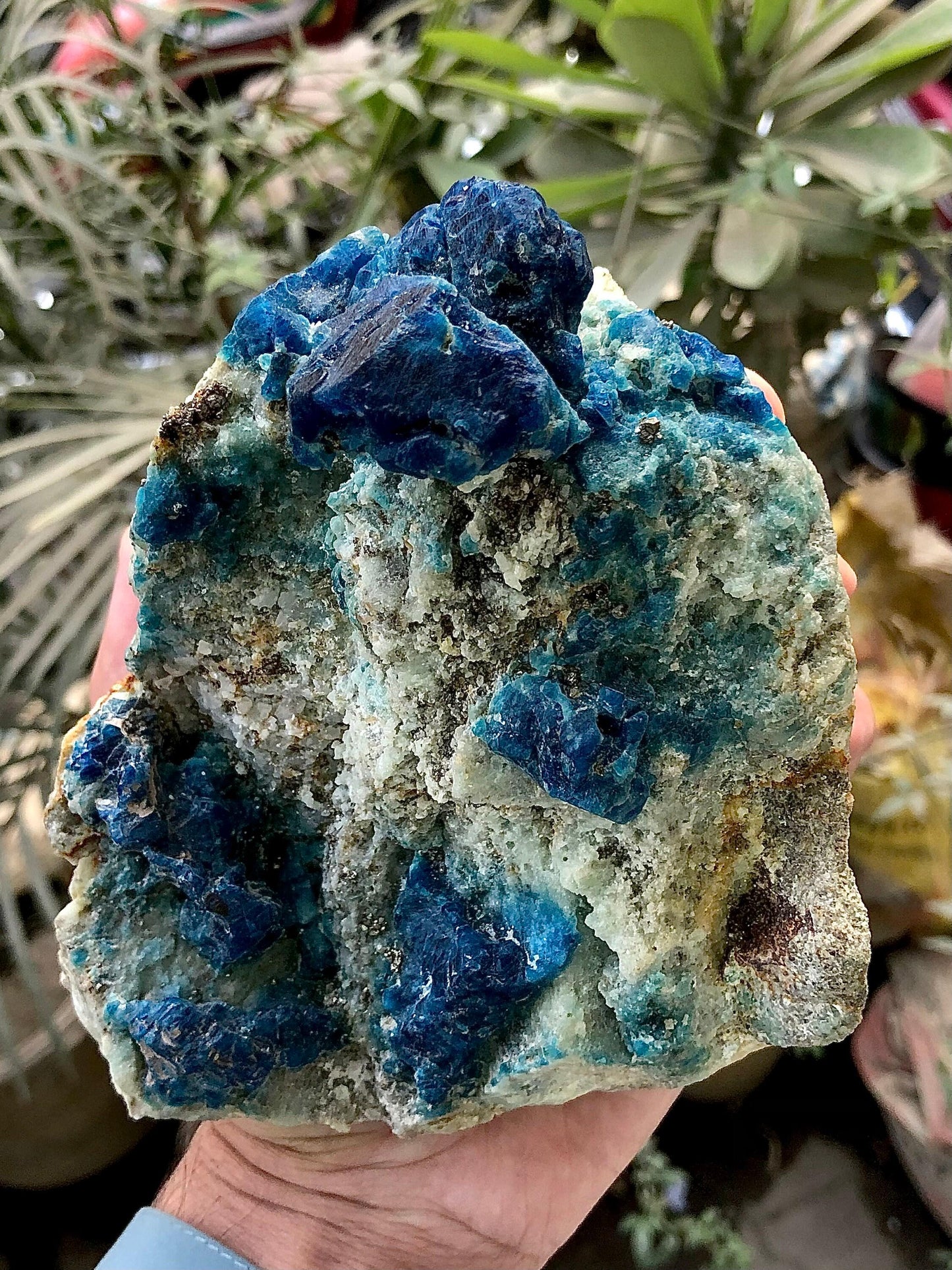 Afghanite Specimen 1 kg+ - Collector Mineral Specimen