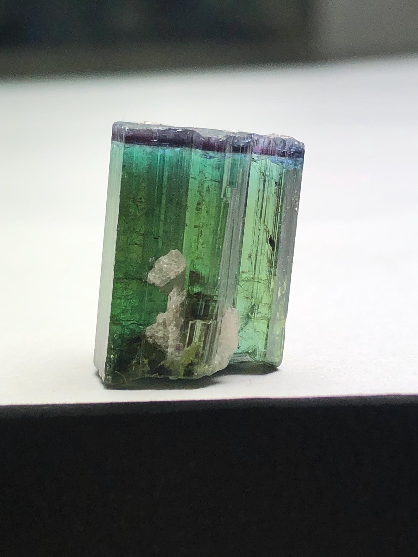 Bi Colour Tourmaline Crystal 18.30 ct – Terminated Collector Specimen