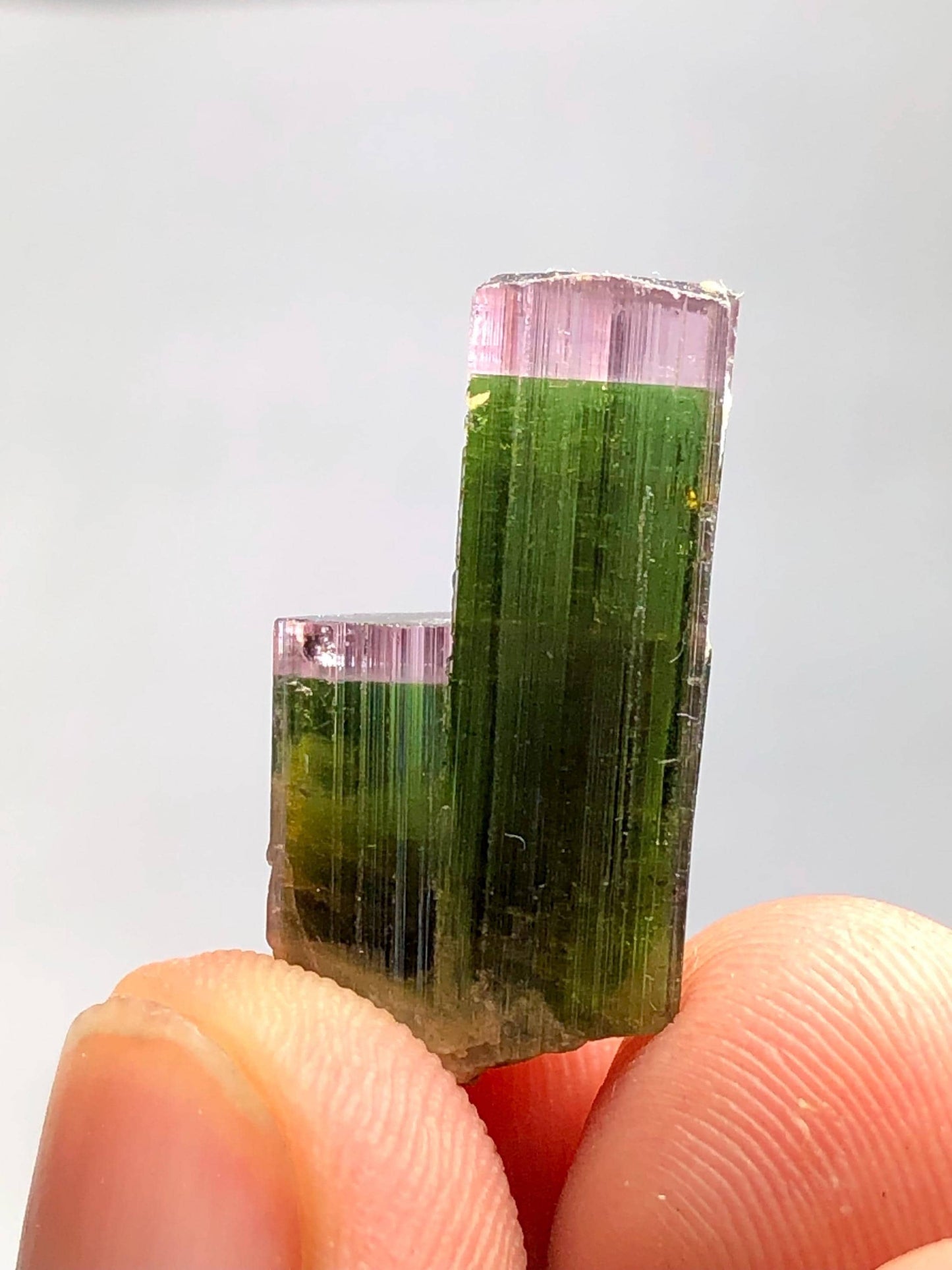 Bi Colour Tourmaline Crystal 18.20 ct - Dual Tone Terminated Specimen