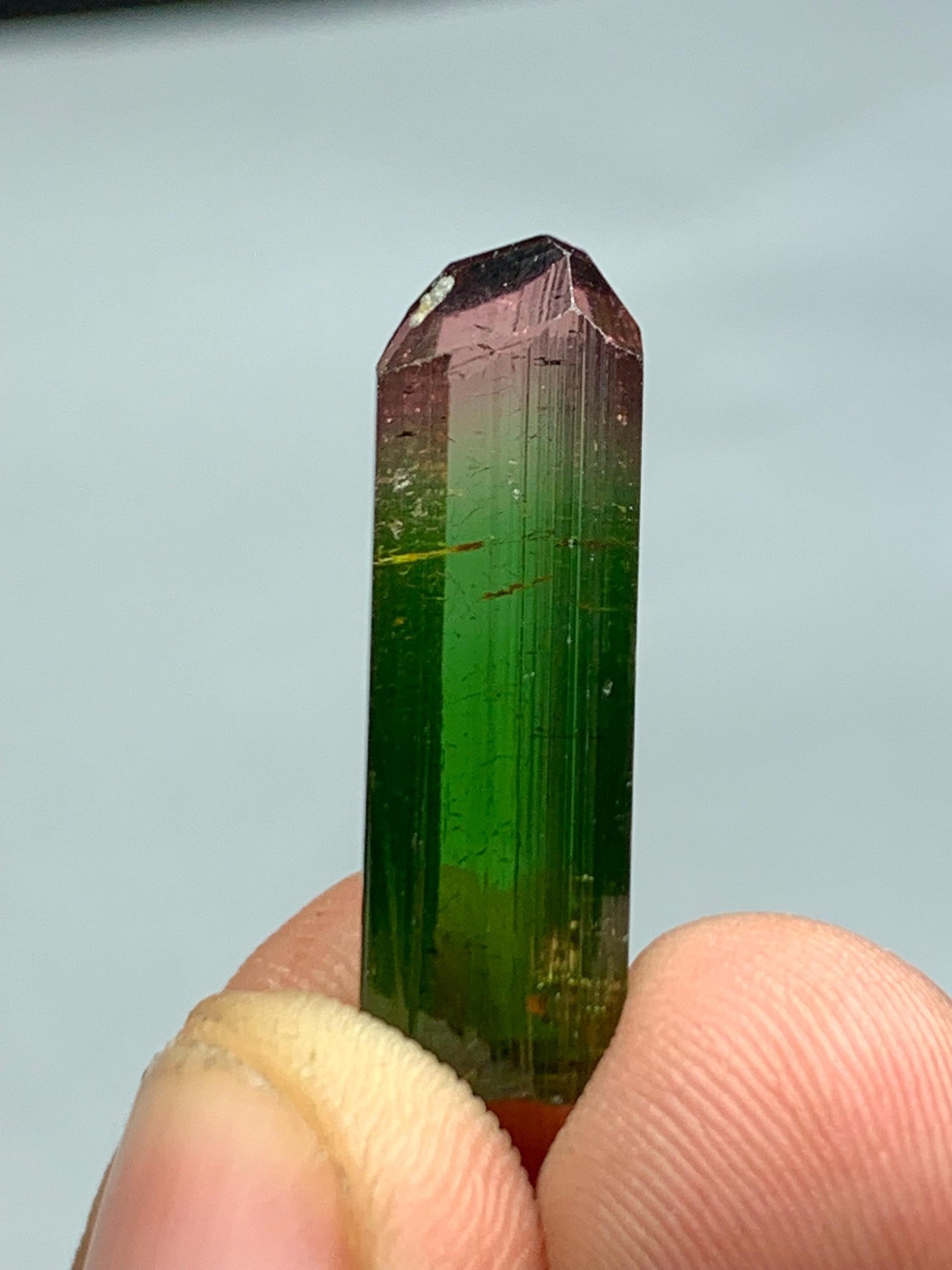 15.60 CTs bi colour terminated tourmaline crystal