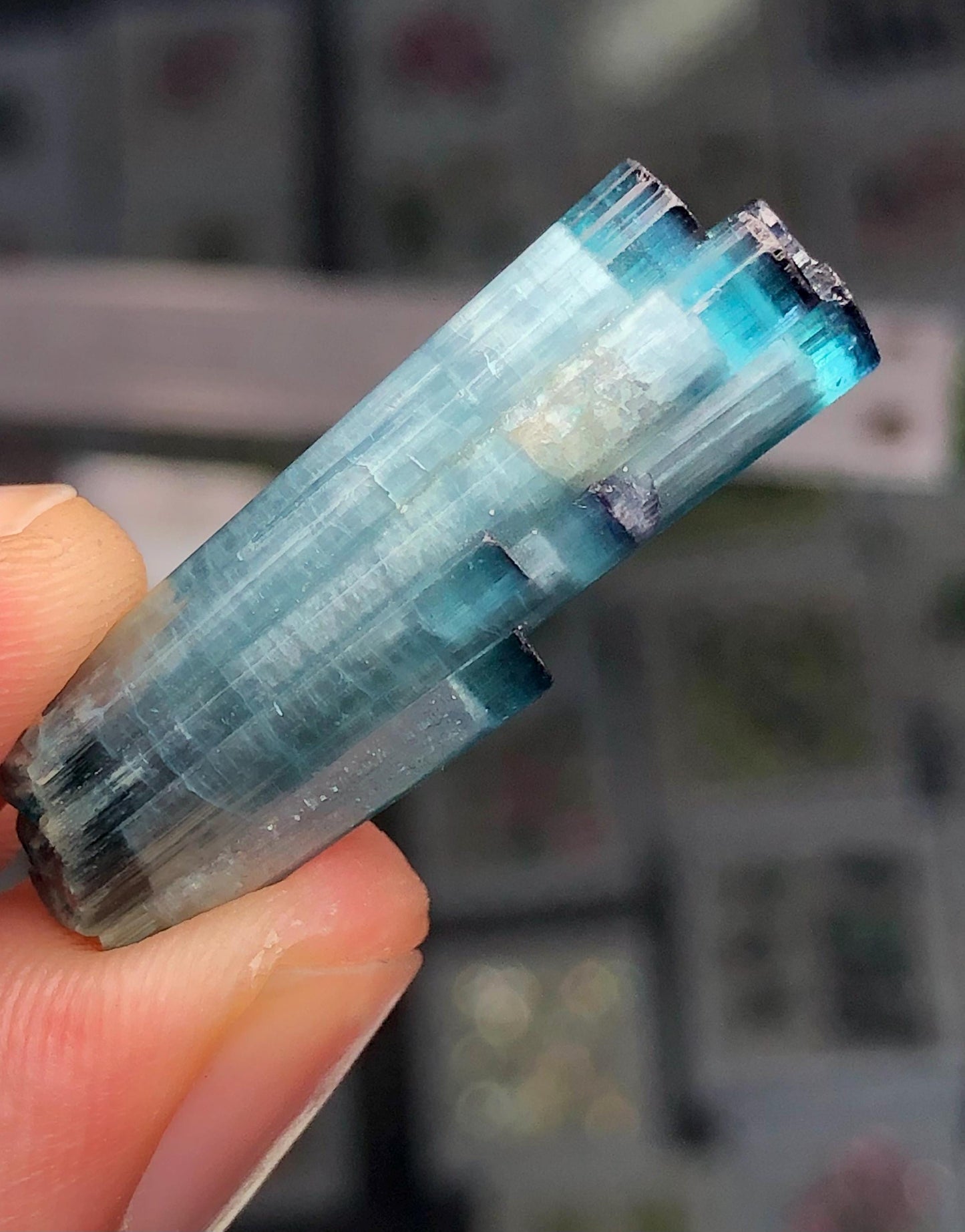 21 ct blue cat eye terminated tourmaline crystal 31mm long