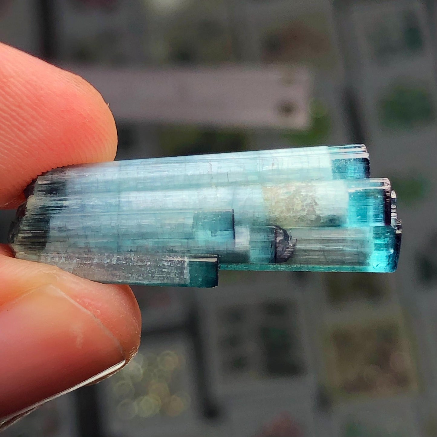 21 ct blue cat eye terminated tourmaline crystal 31mm long