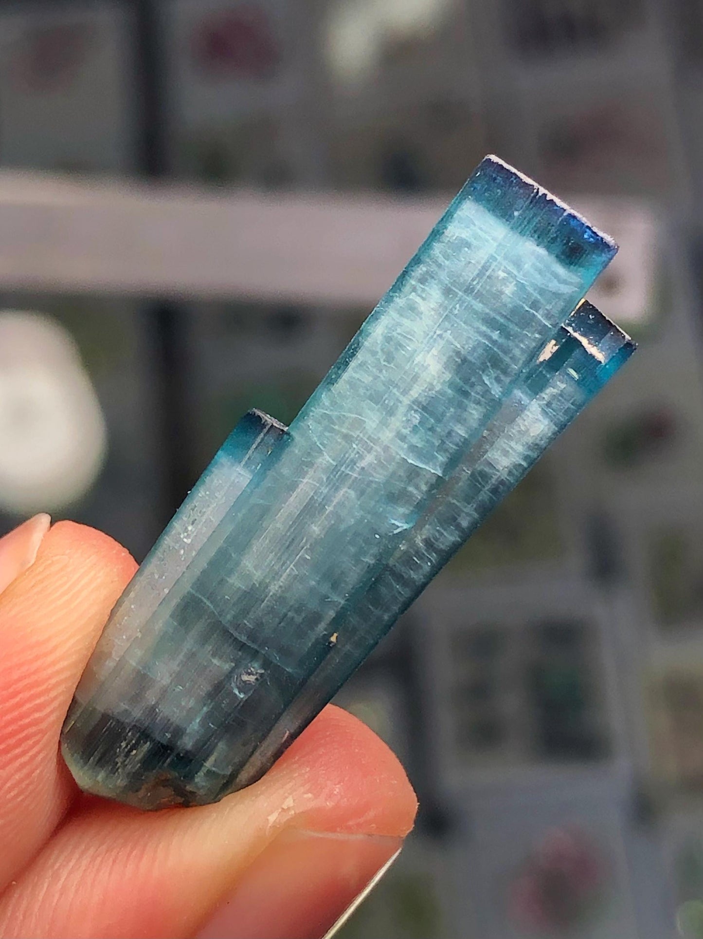 21 ct blue cat eye terminated tourmaline crystal 31mm long