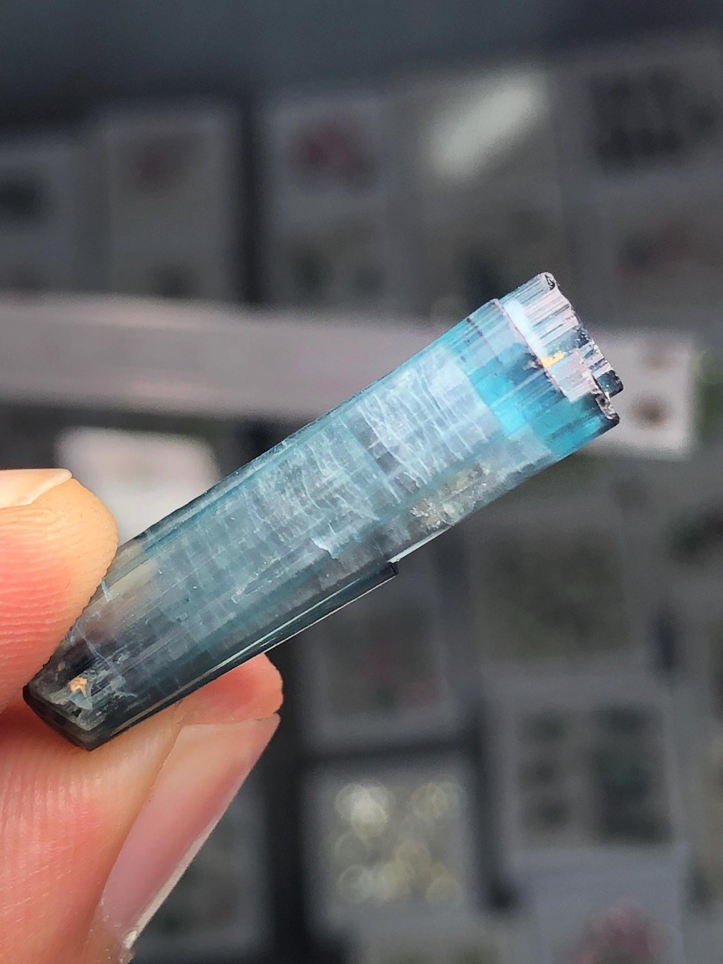 21 ct blue cat eye terminated tourmaline crystal 31mm long