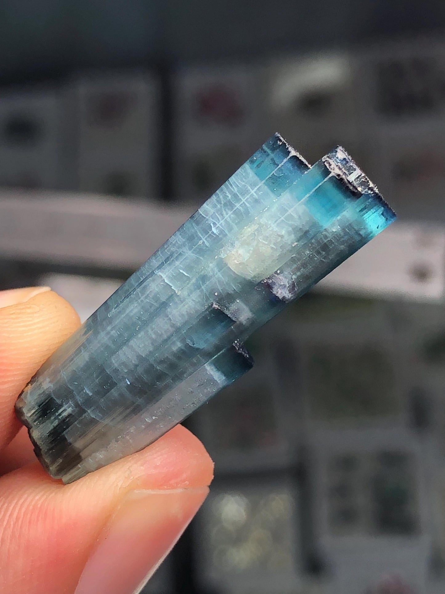 21 ct blue cat eye terminated tourmaline crystal 31mm long