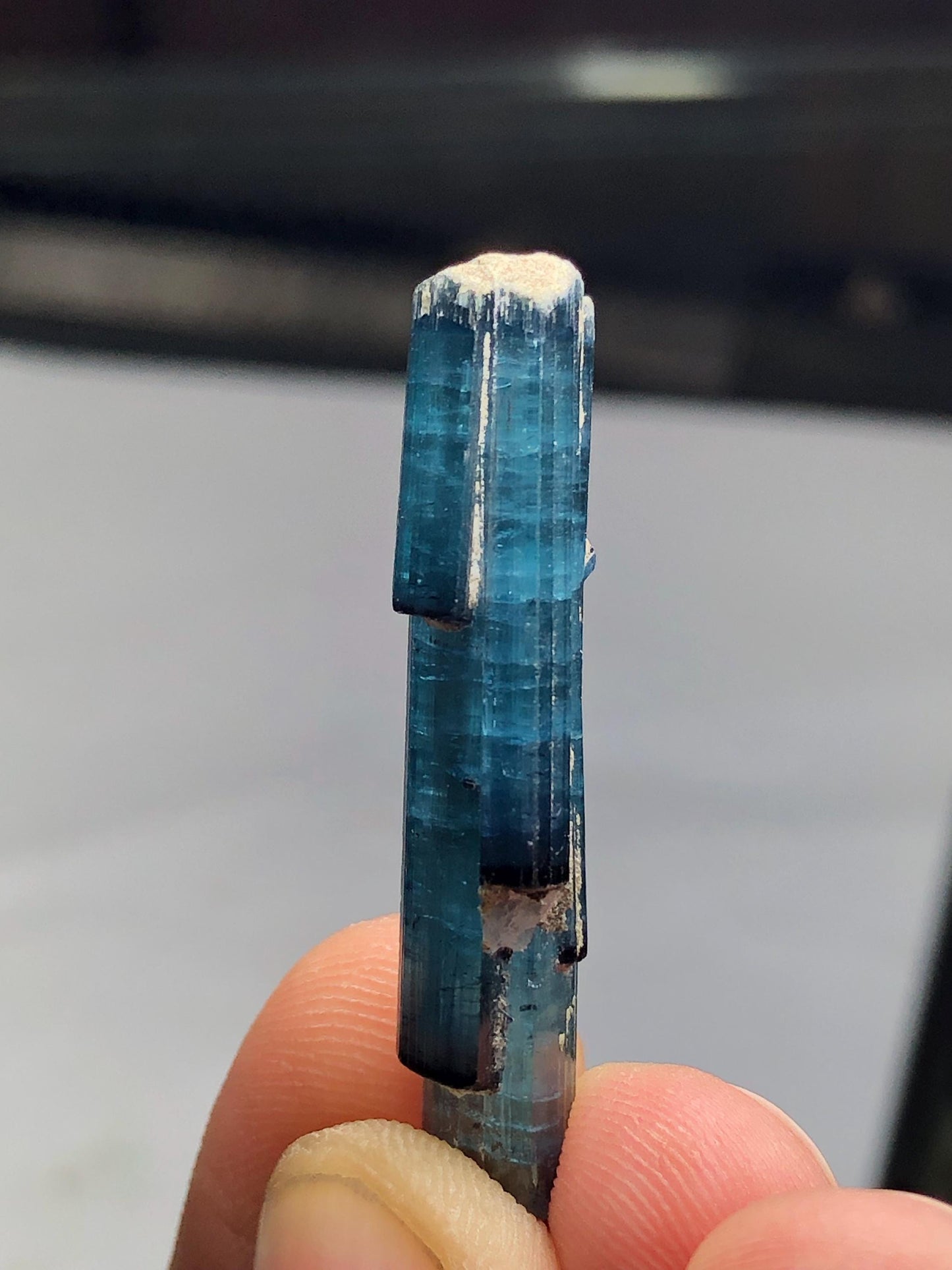 19 carat indicolite tourmaline crystal 38mm long