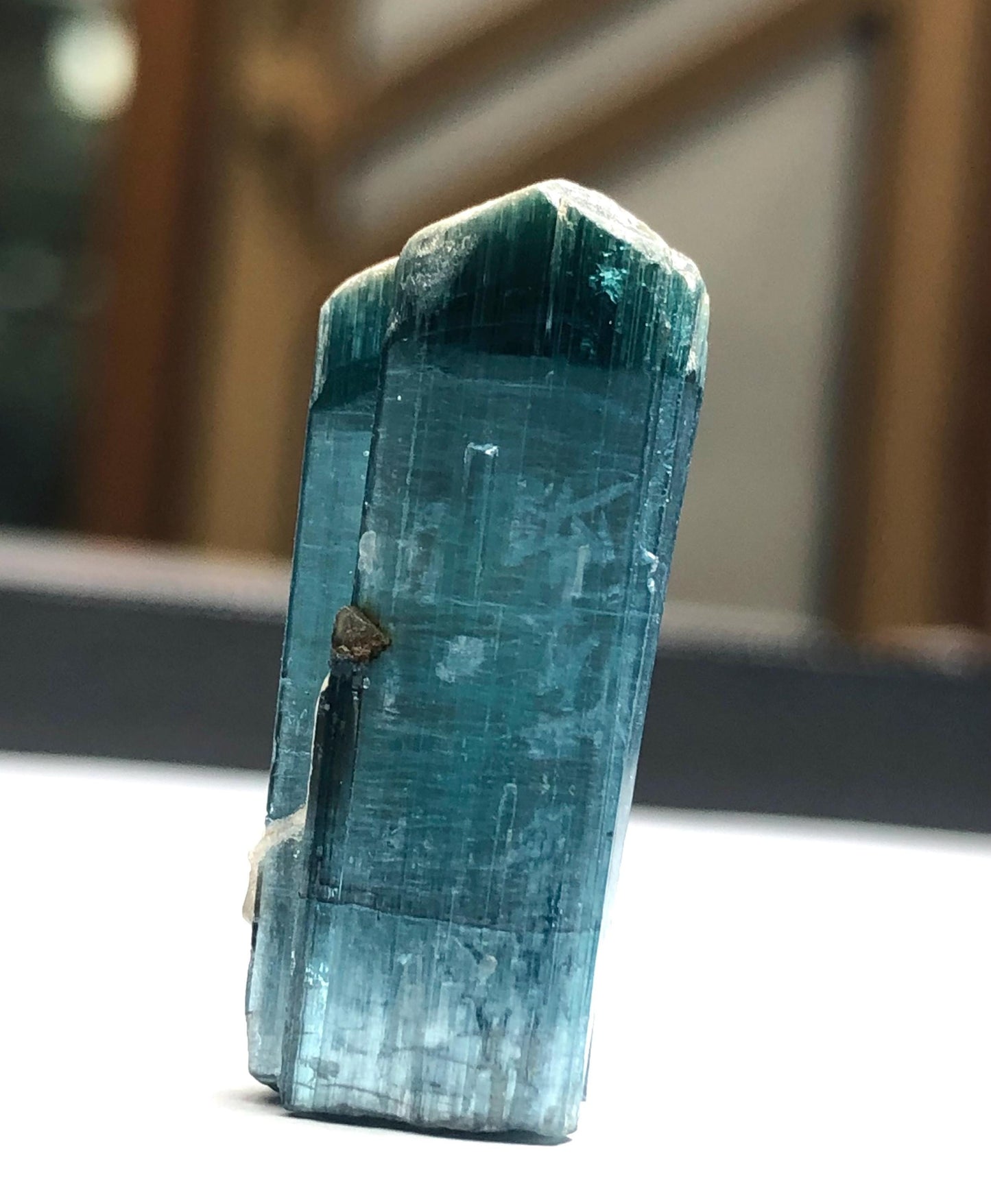 37 carat rare blue cat eye tourmaline crystal terminated 28mm long