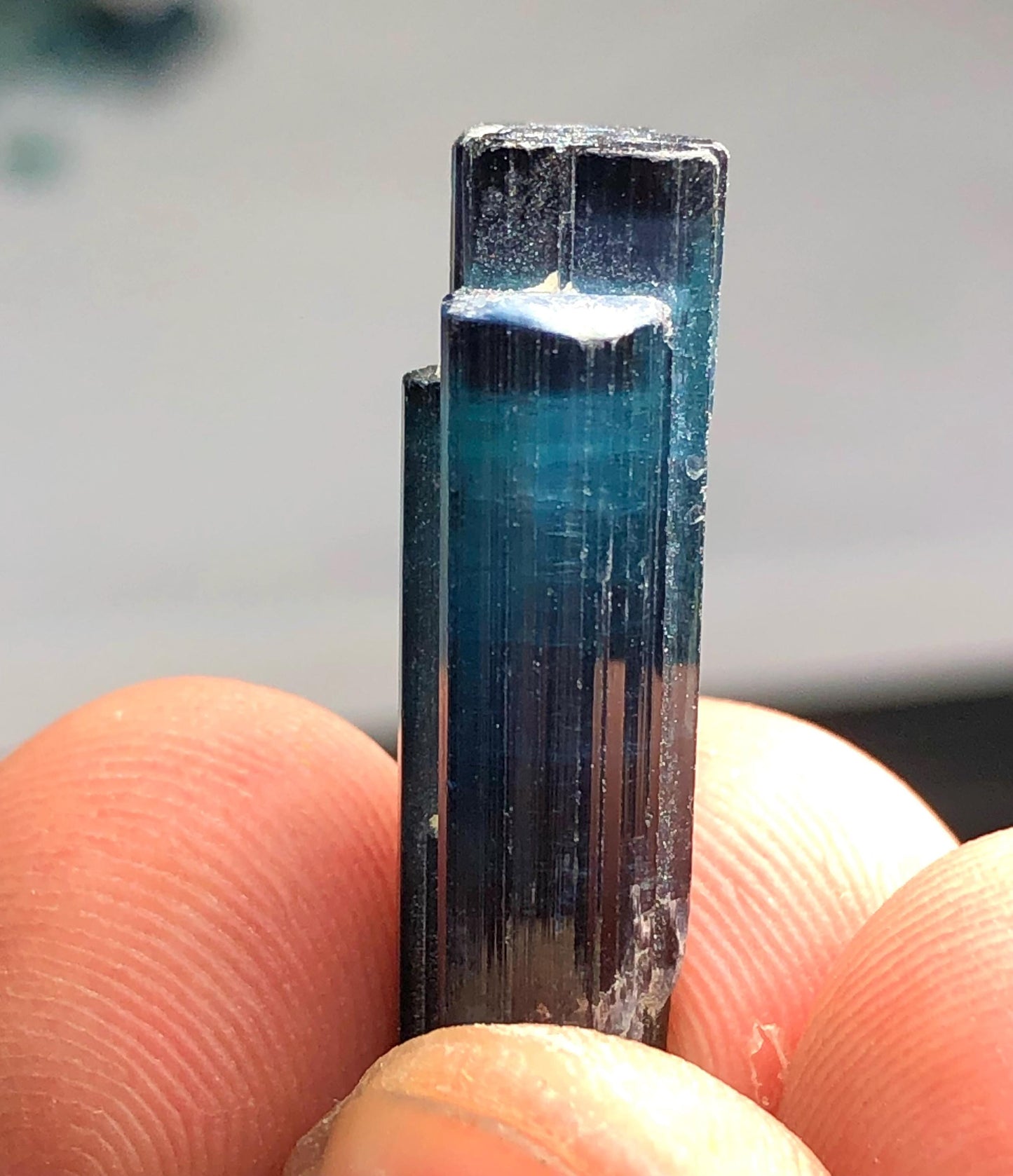 14.50 ct ink blue tourmaline crystal 25mm long