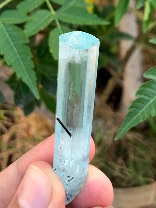 14.50 gram aquamarine crystal from pakistan nagar mine