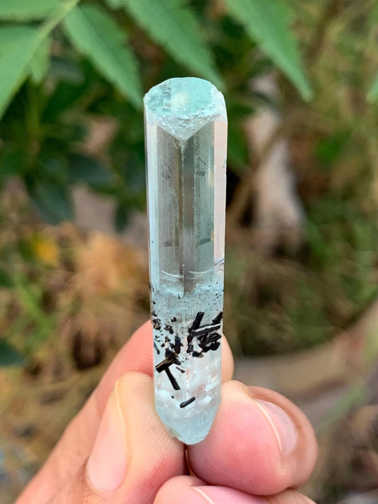 Aquamarine crystal 50 carat 52*9*9mm