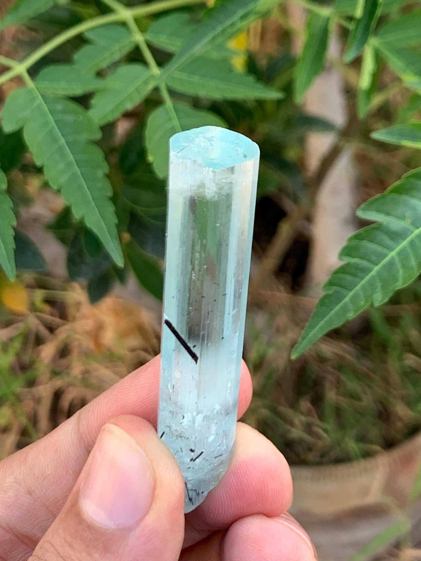 14.50 gram aquamarine crystal from pakistan nagar mine