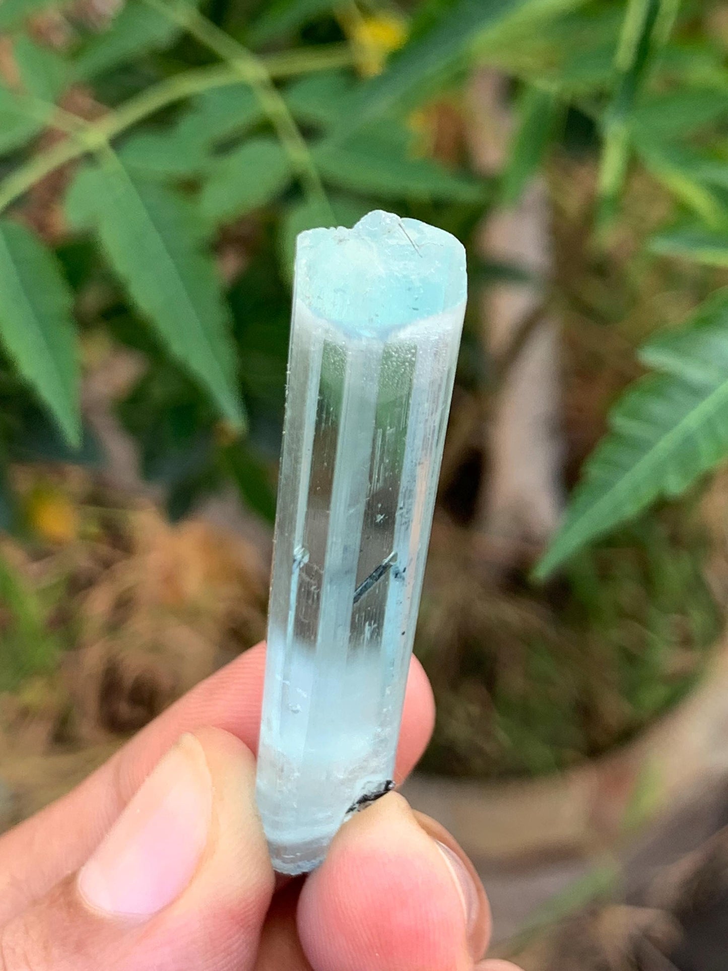 14.50 gram aquamarine crystal from pakistan nagar mine