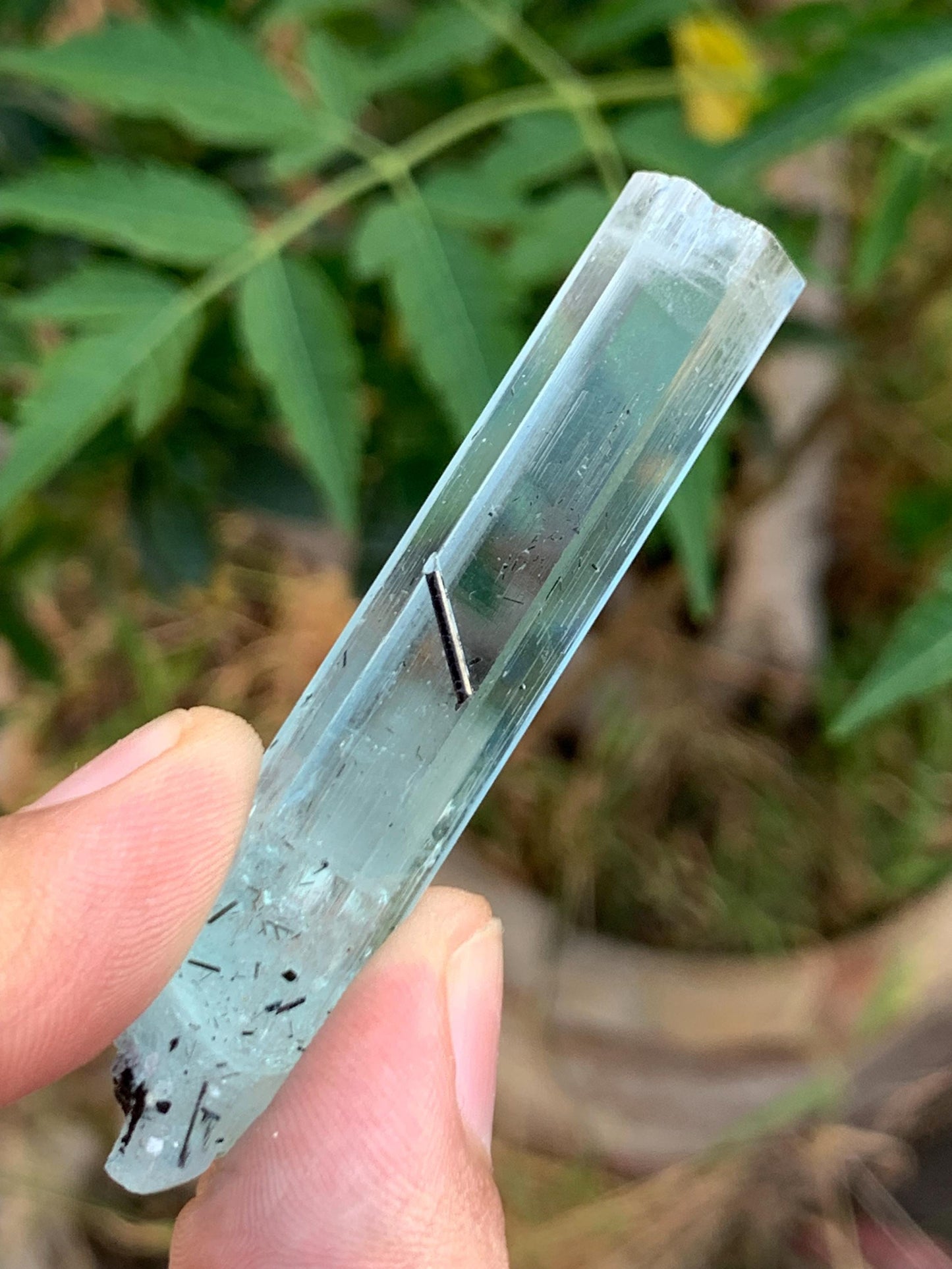 14.50 gram aquamarine crystal from pakistan nagar mine