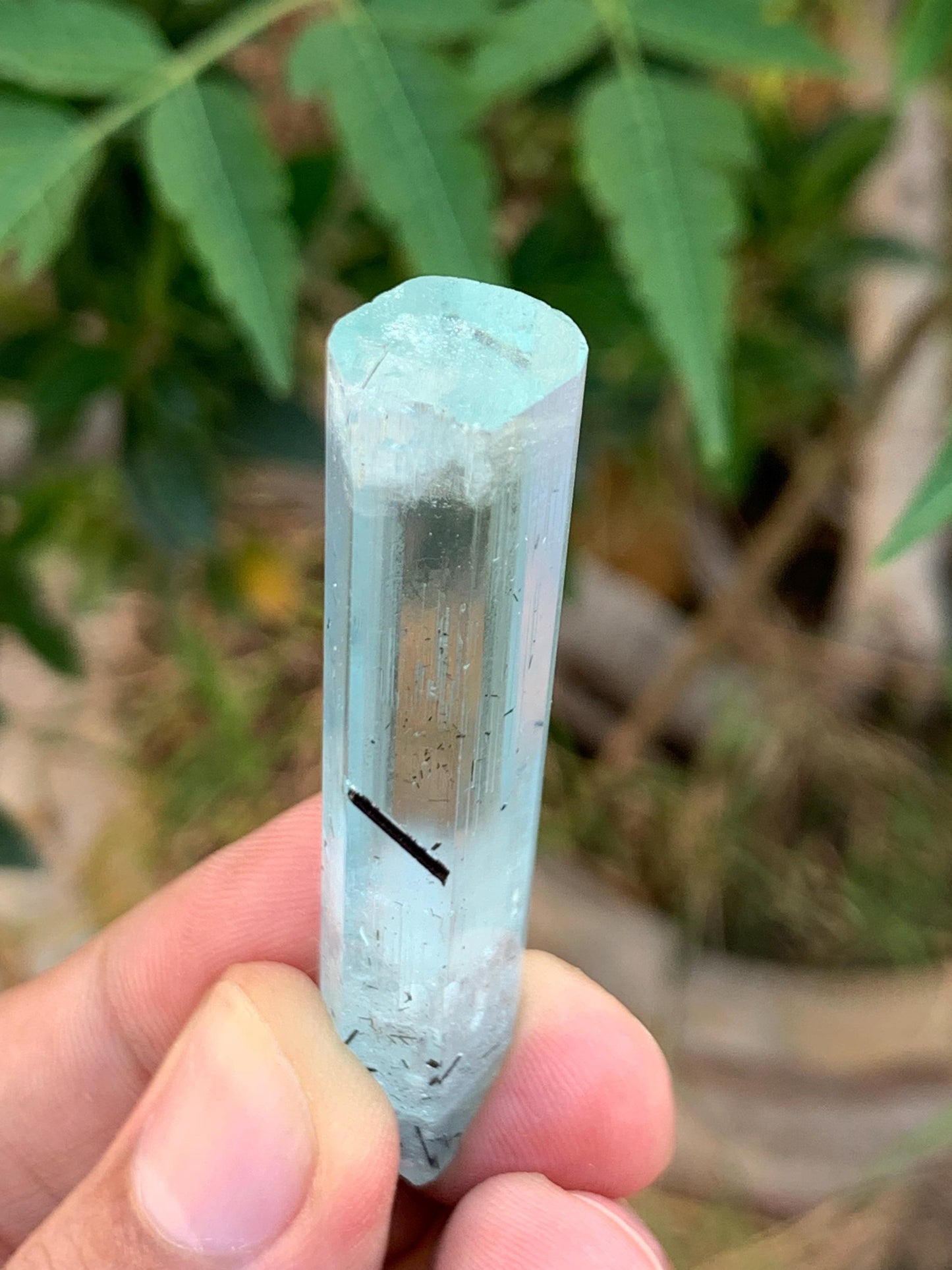 14.50 gram aquamarine crystal from pakistan nagar mine