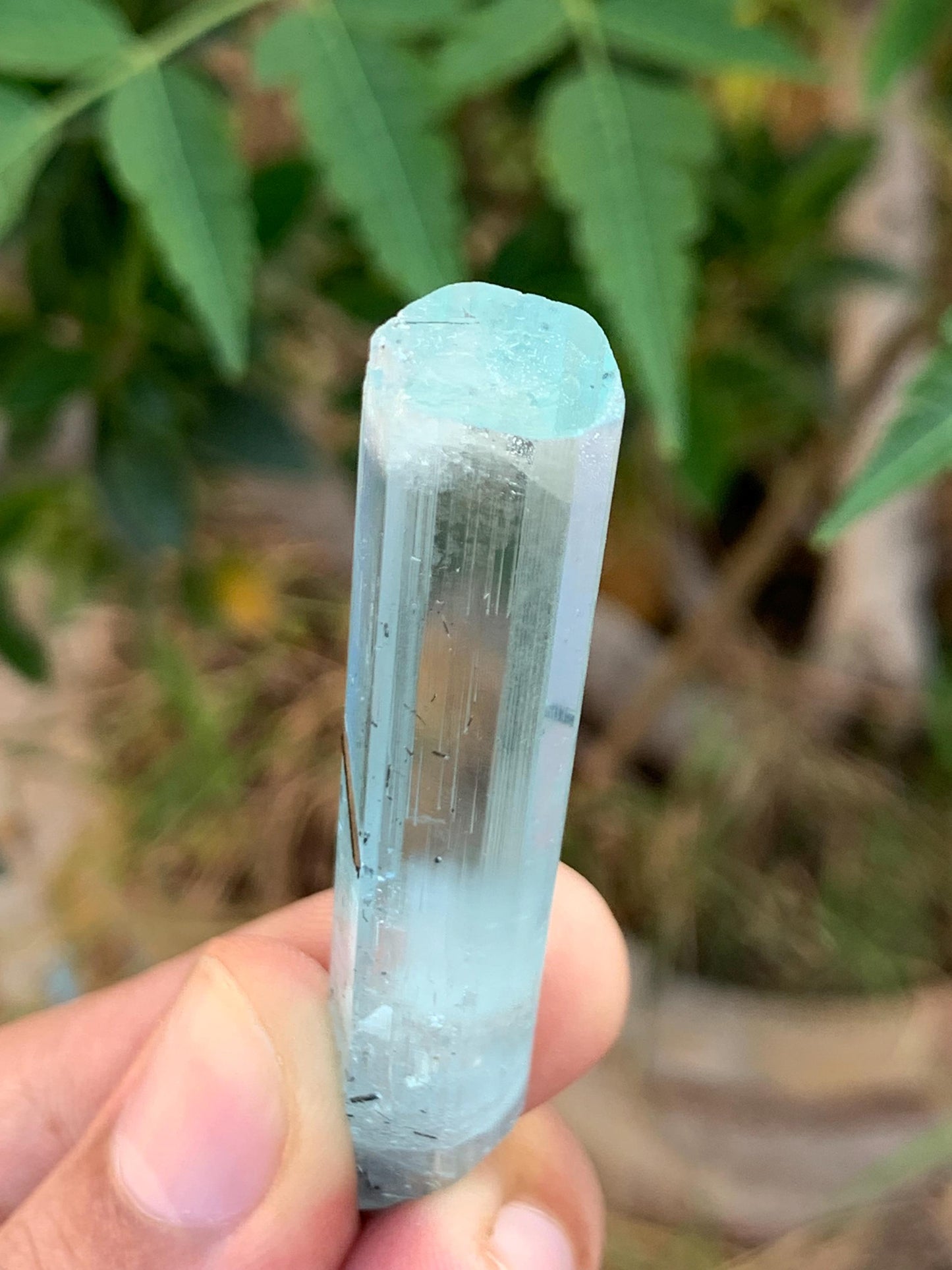 14.50 gram aquamarine crystal from pakistan nagar mine