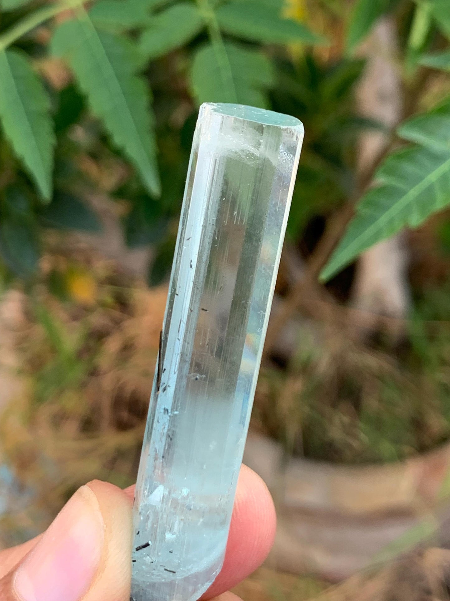 14.50 gram aquamarine crystal from pakistan nagar mine