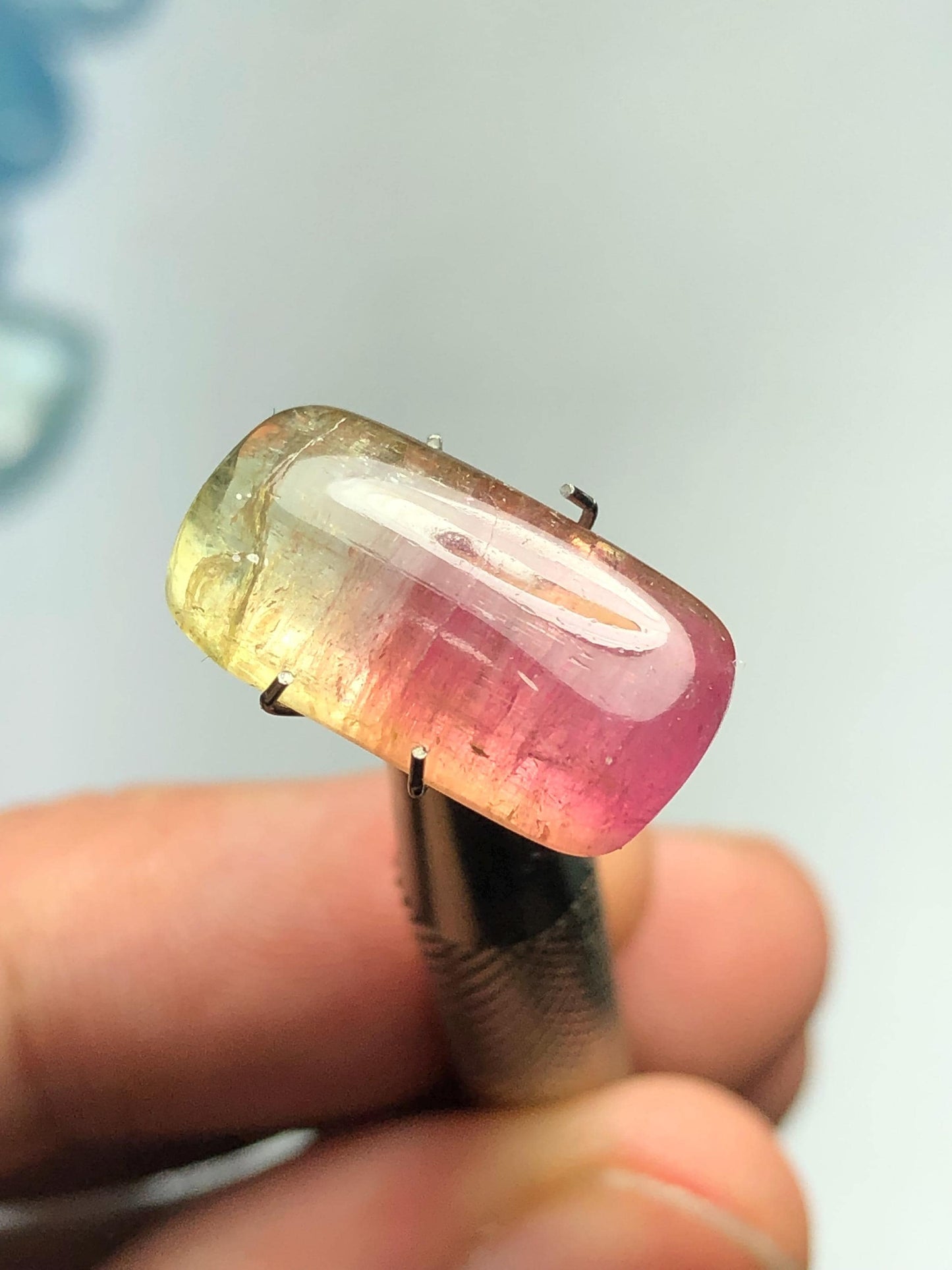 8.90 carat Watermelon tourmaline cabochon