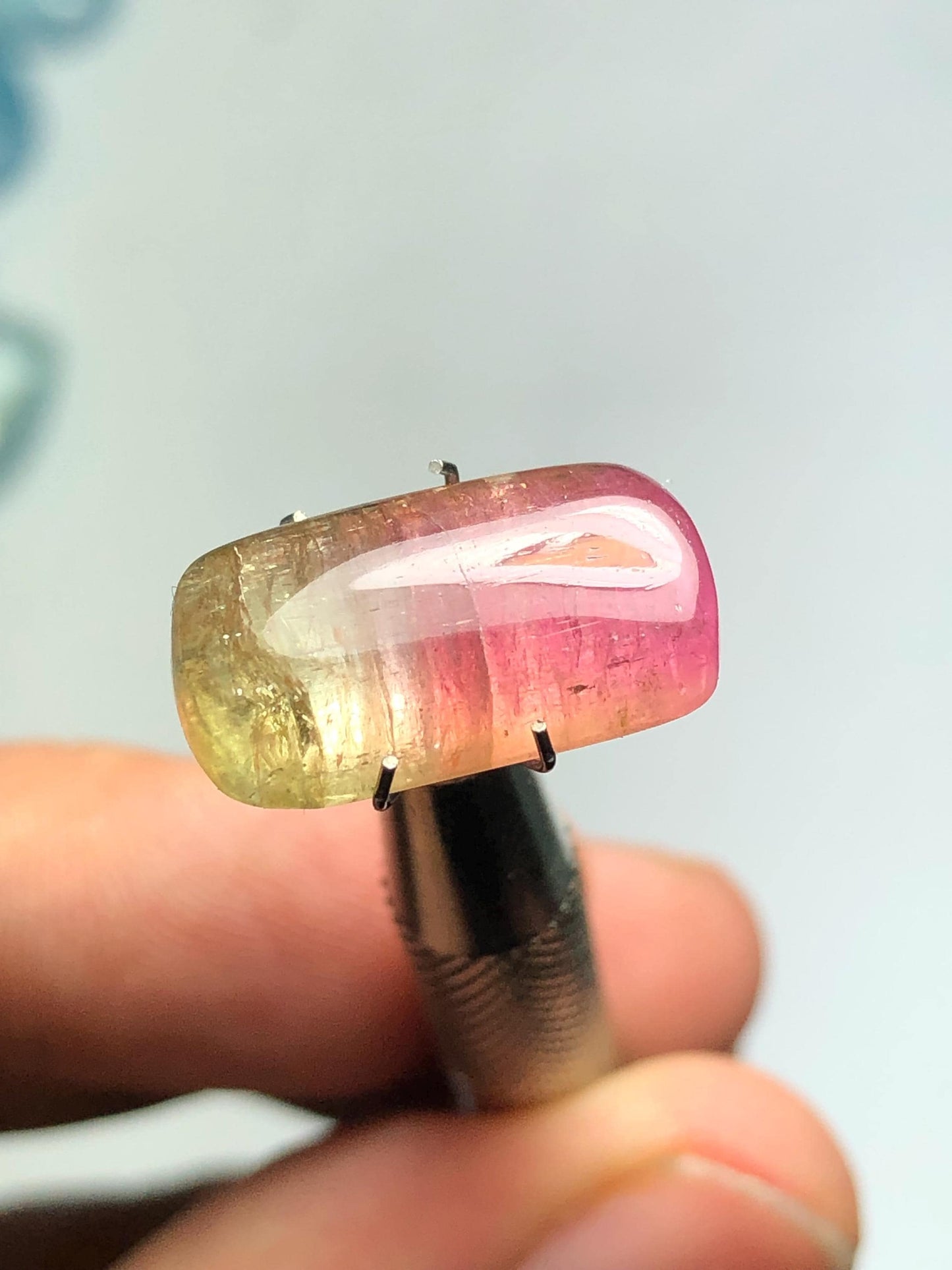 8.90 carat Watermelon tourmaline cabochon