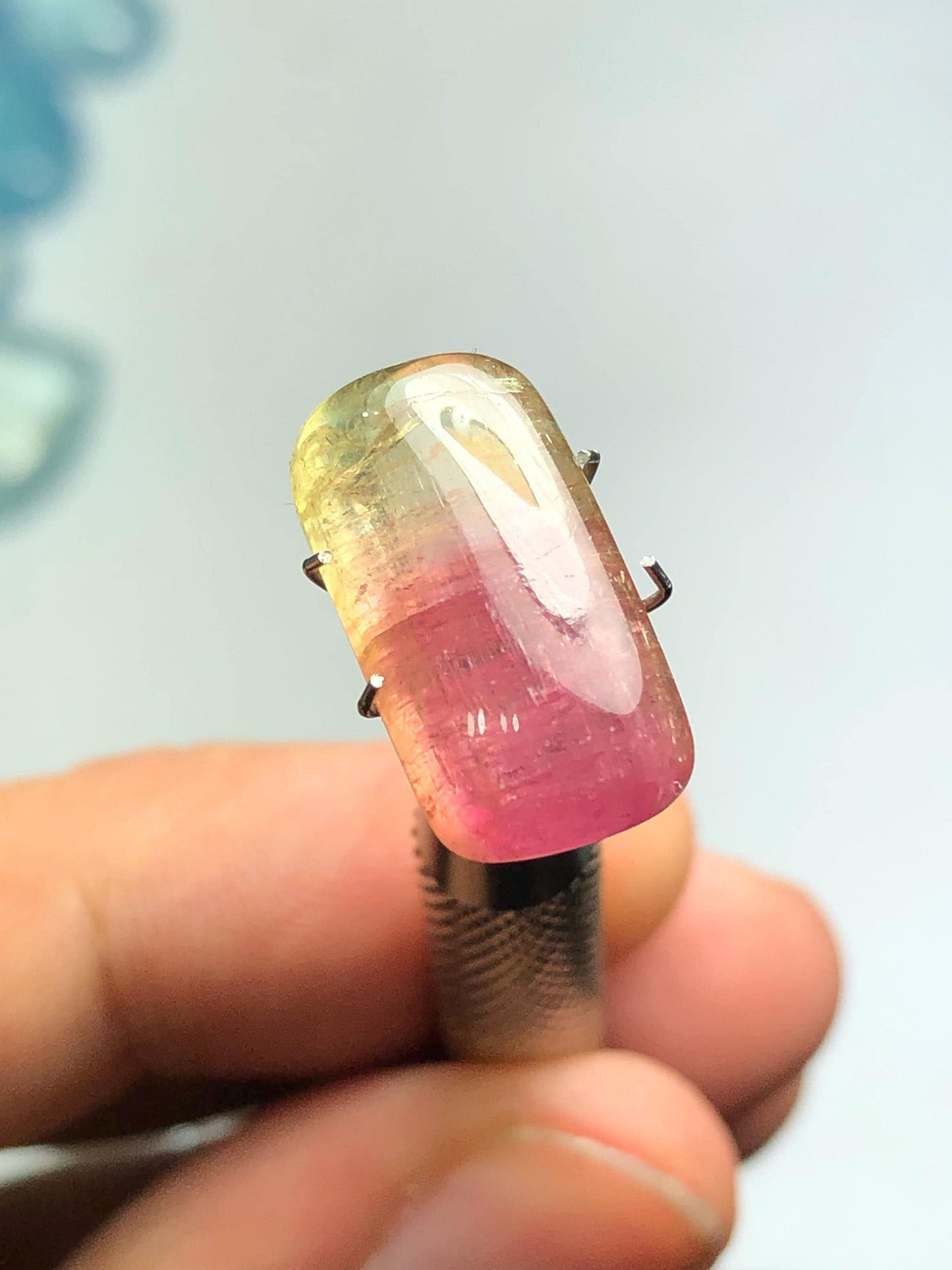 8.90 carat Watermelon tourmaline cabochon