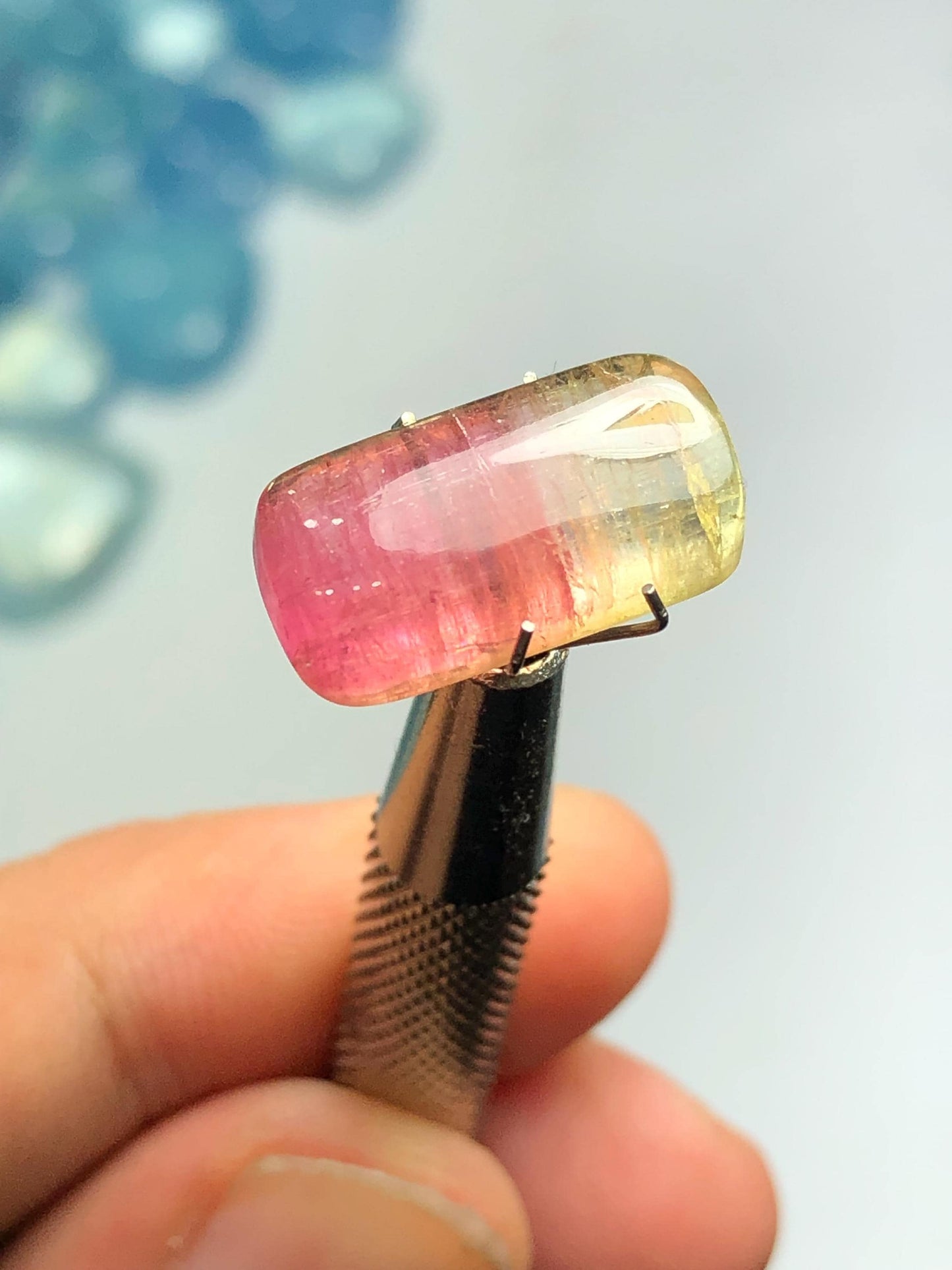 8.90 carat Watermelon tourmaline cabochon