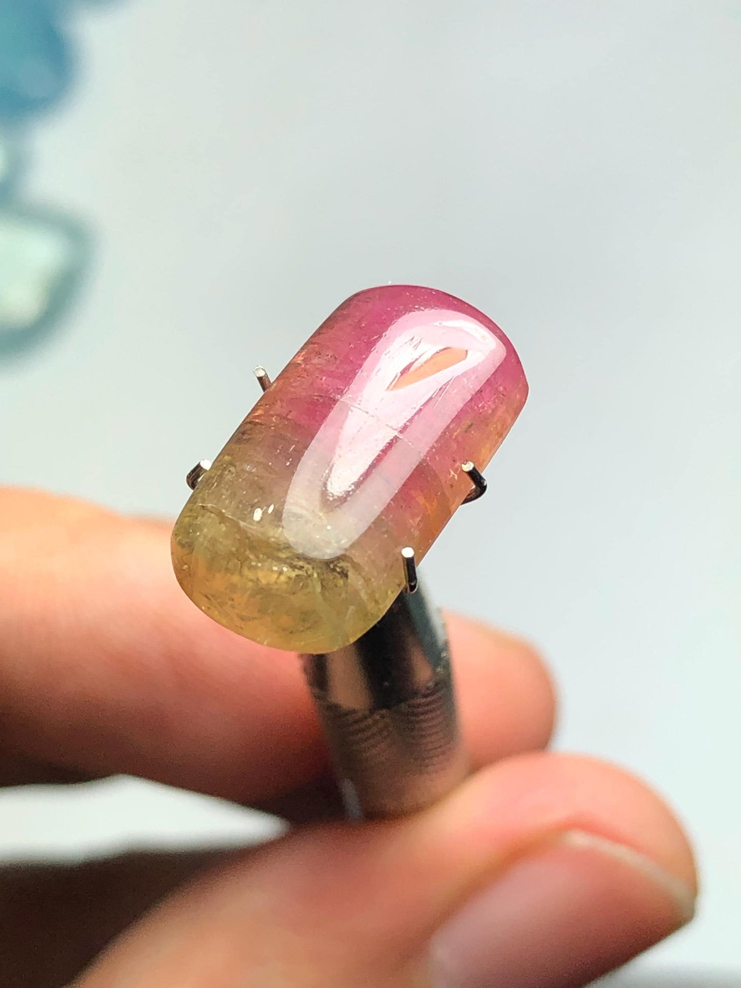 8.90 carat Watermelon tourmaline cabochon