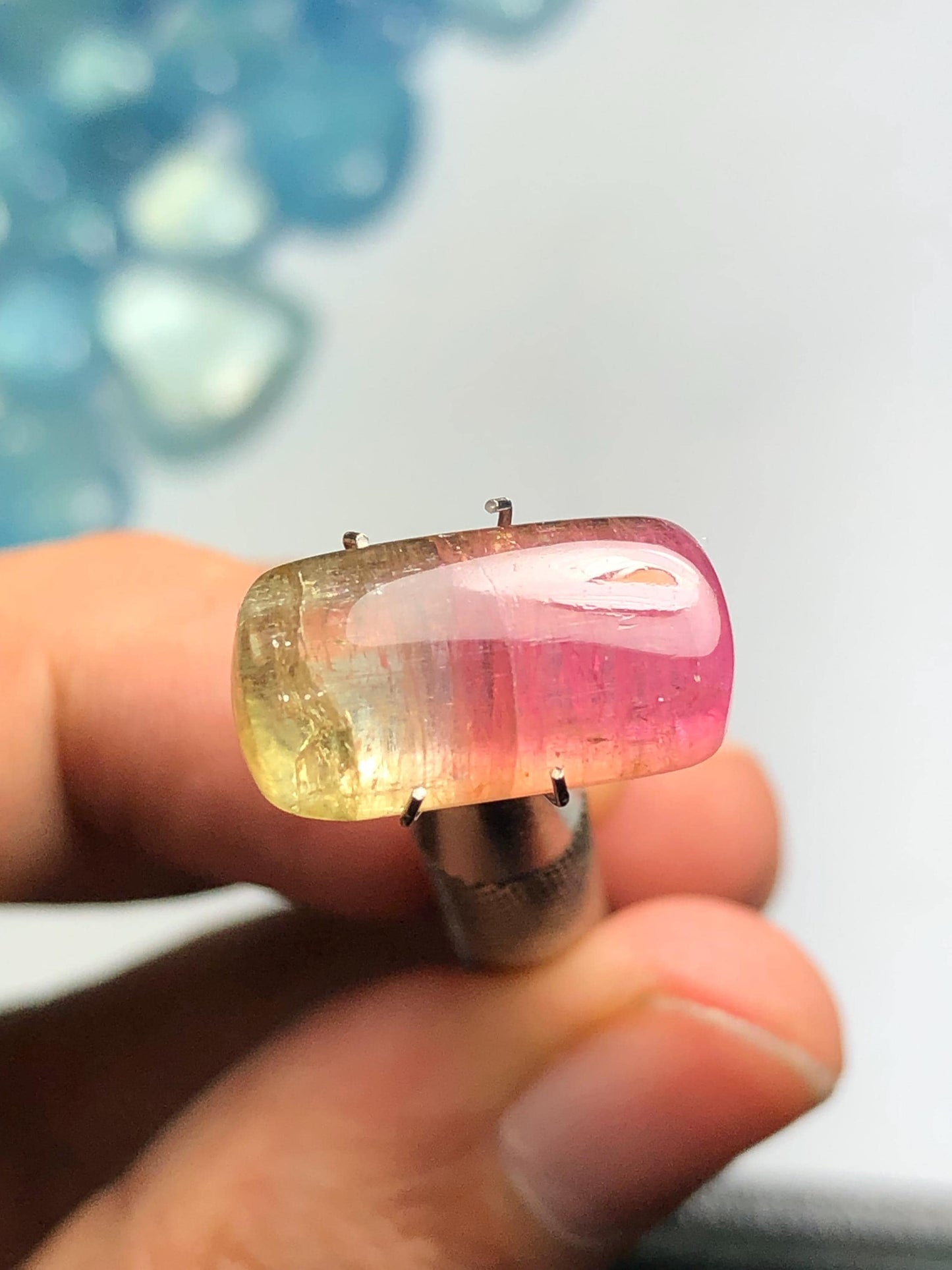 8.90 carat Watermelon tourmaline cabochon