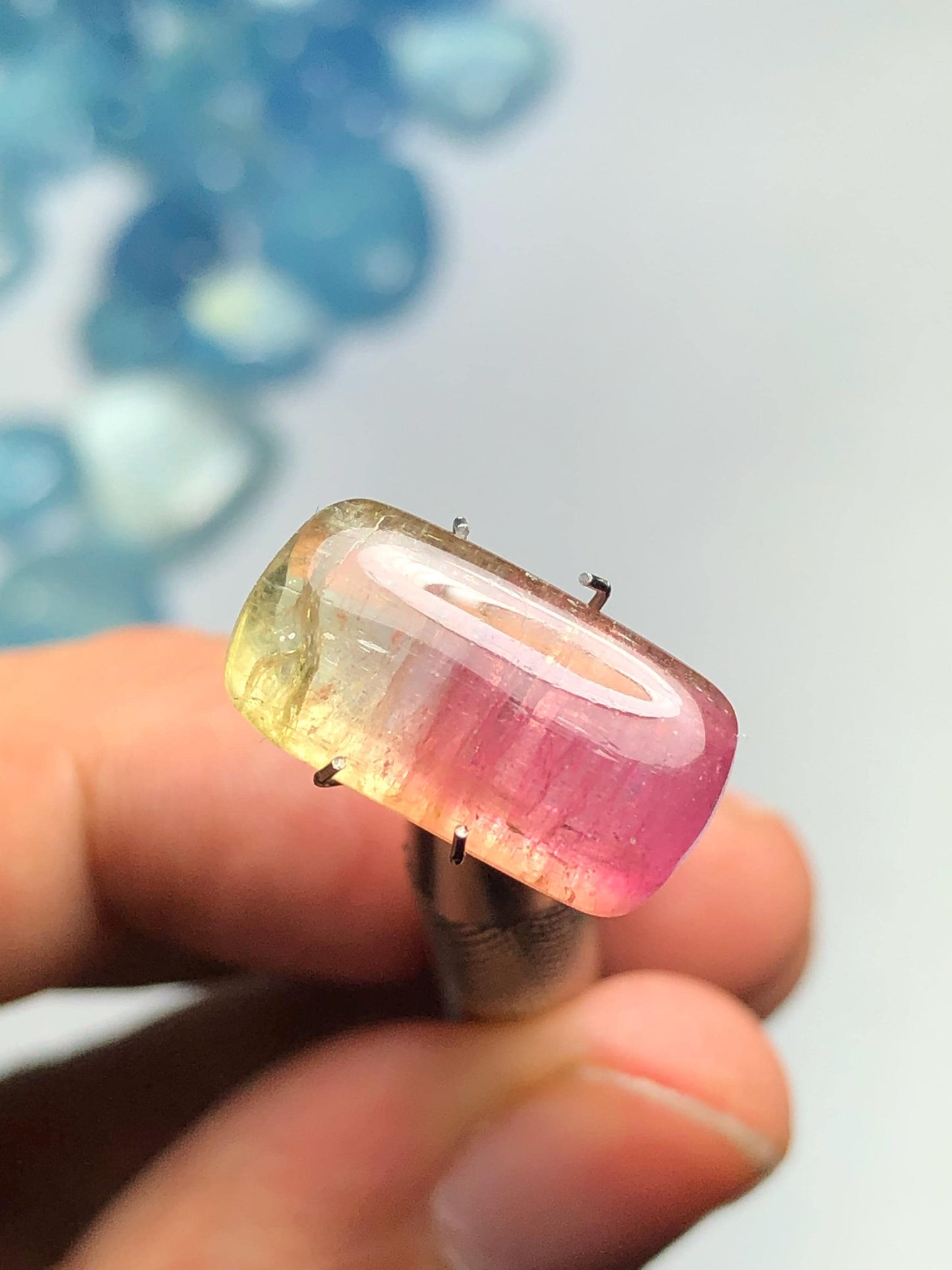 8.90 carat Watermelon tourmaline cabochon