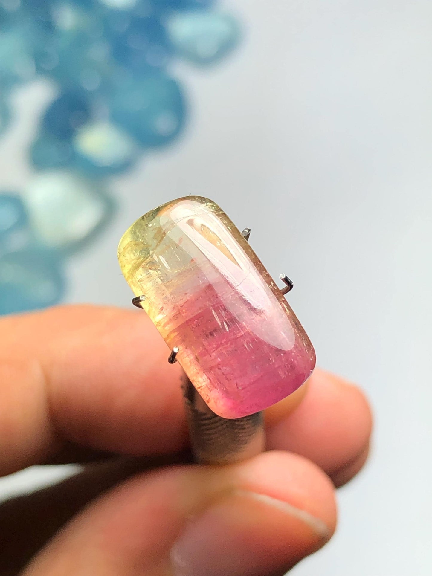 8.90 carat Watermelon tourmaline cabochon