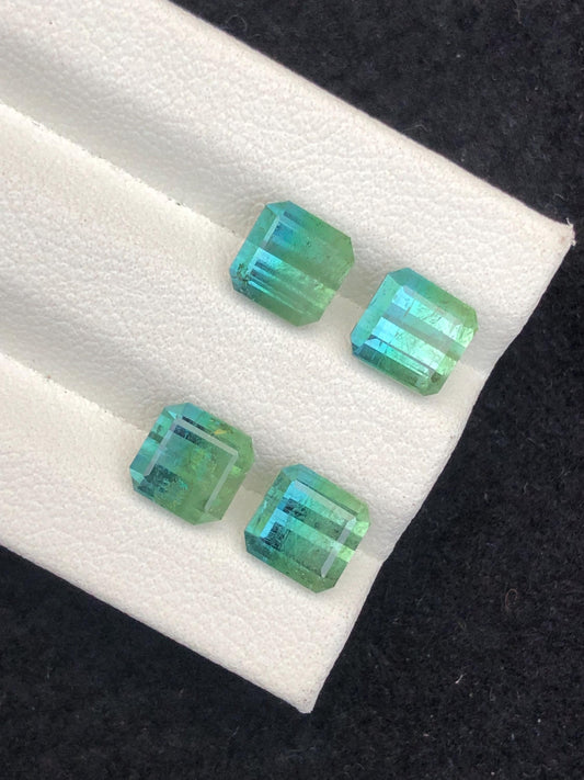 6.75 CTs unique bi colour tourmaline pairs natural faceted