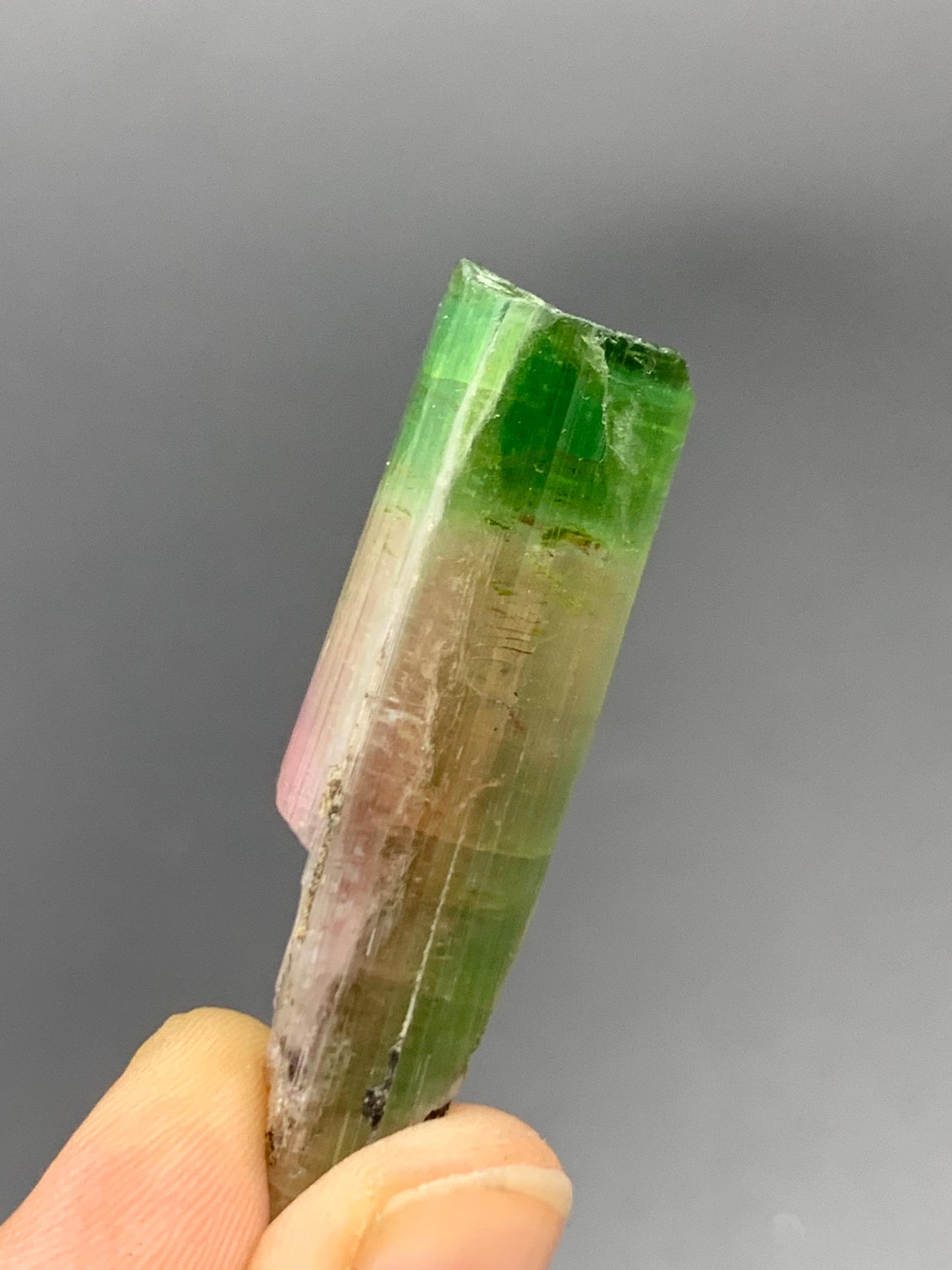 50 CTs bi colour tourmaline crystal not terminated