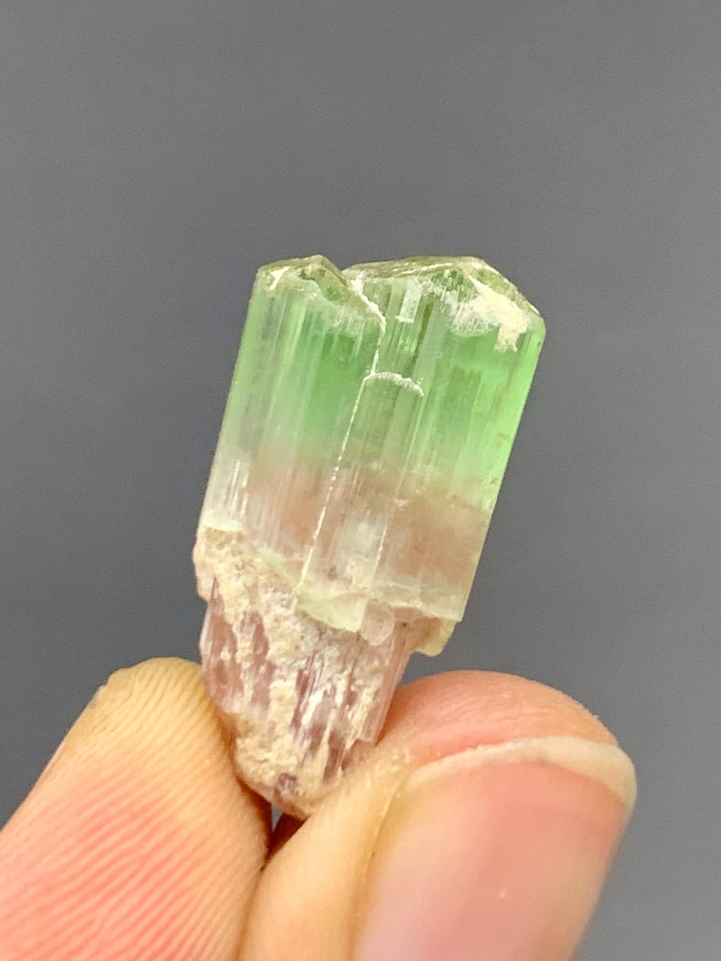 15.80 CTs unique bi colour tourmaline crystal