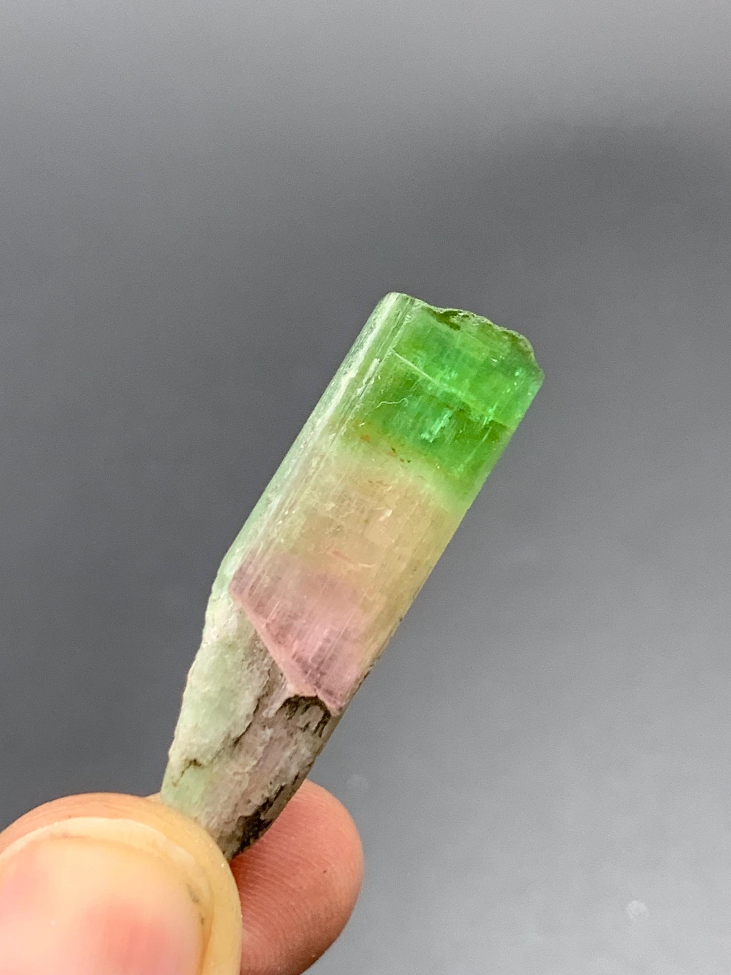 50 CTs bi colour tourmaline crystal not terminated