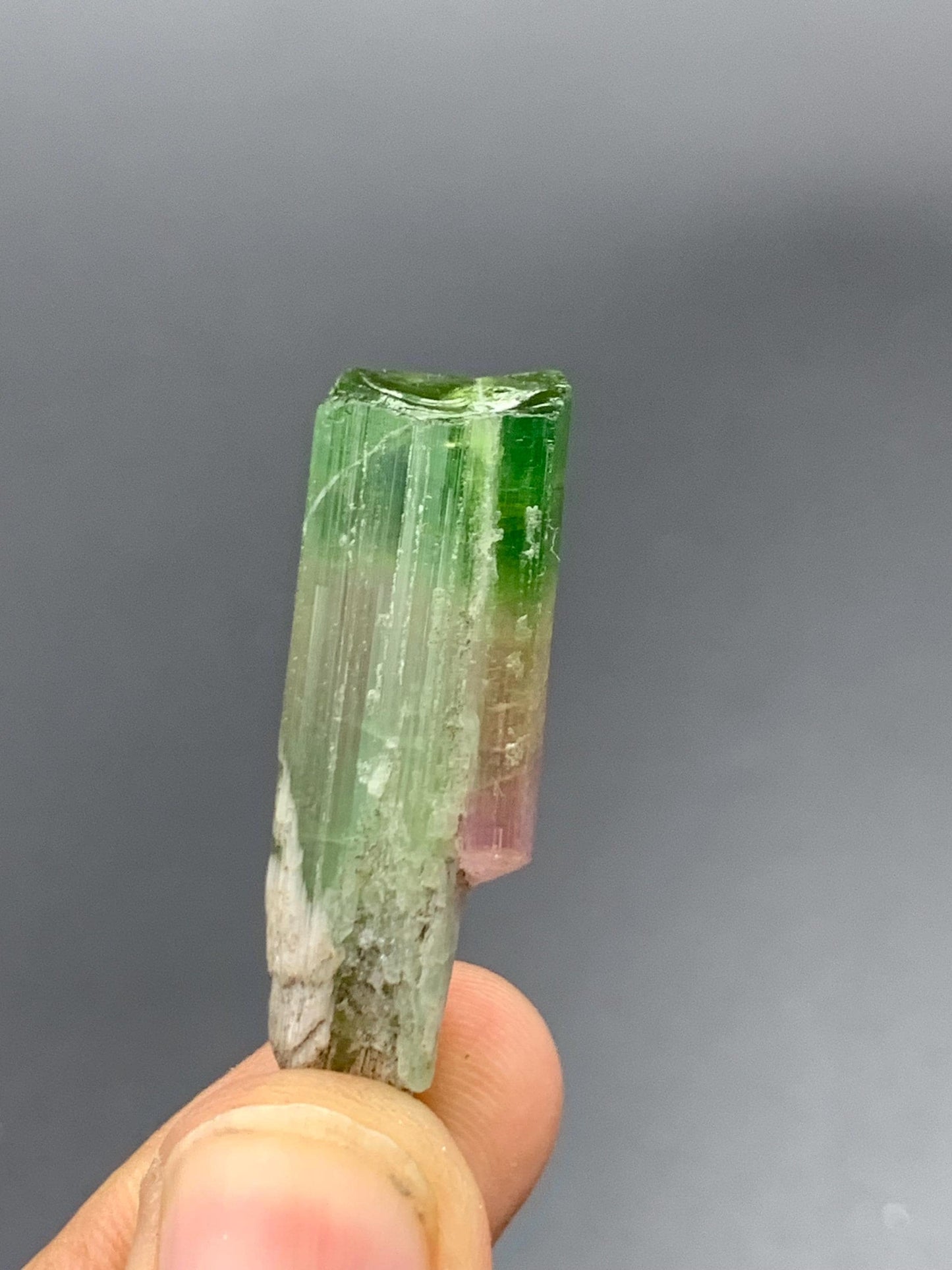 50 CTs bi colour tourmaline crystal not terminated