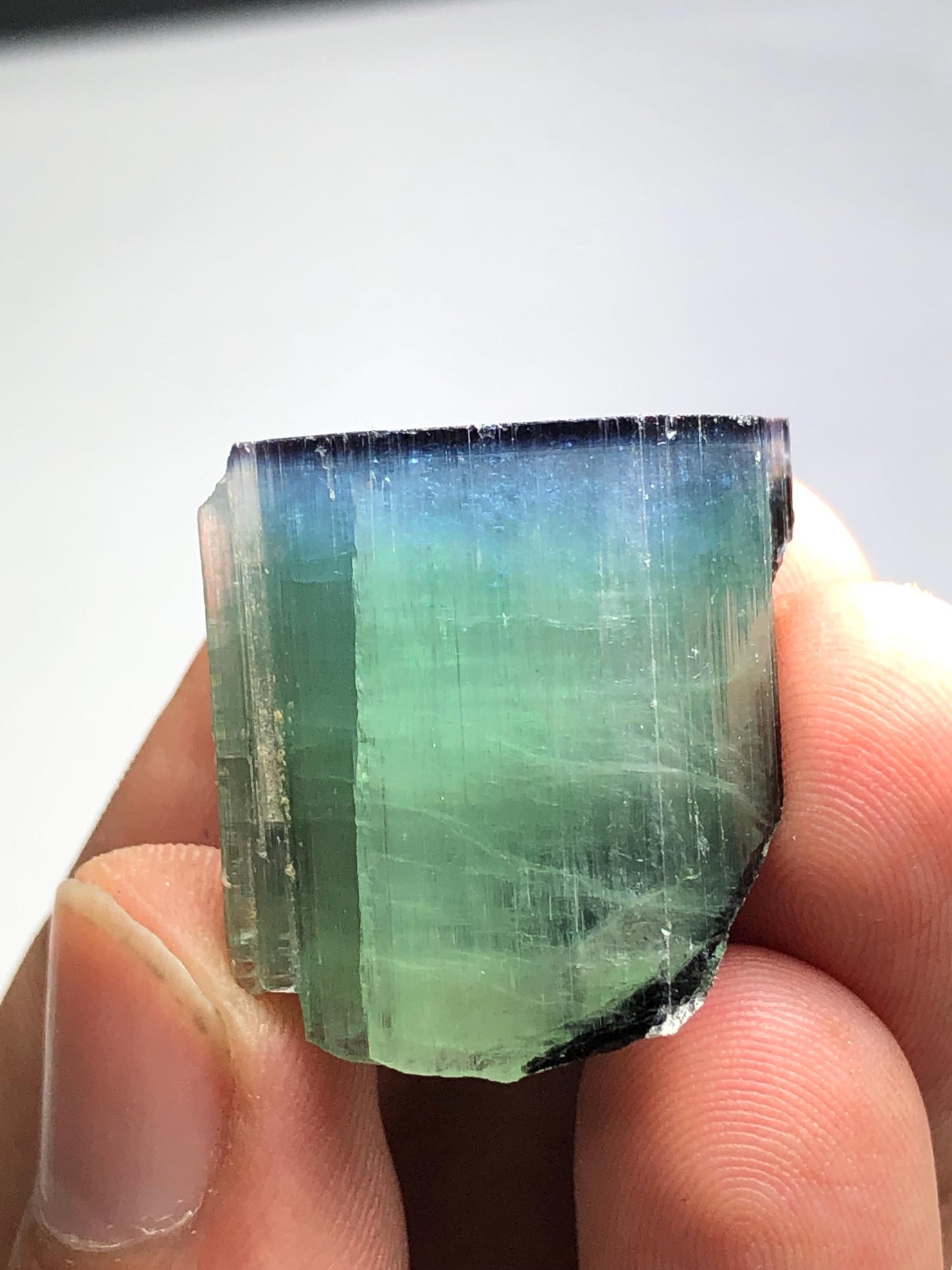 15.78 gram bi colour cat eye tourmaline crystal natural