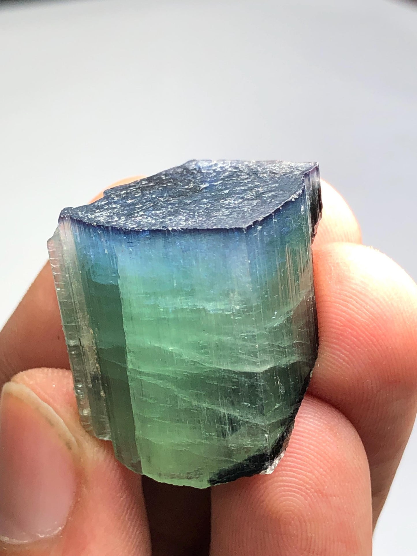 15.78 gram bi colour cat eye tourmaline crystal natural