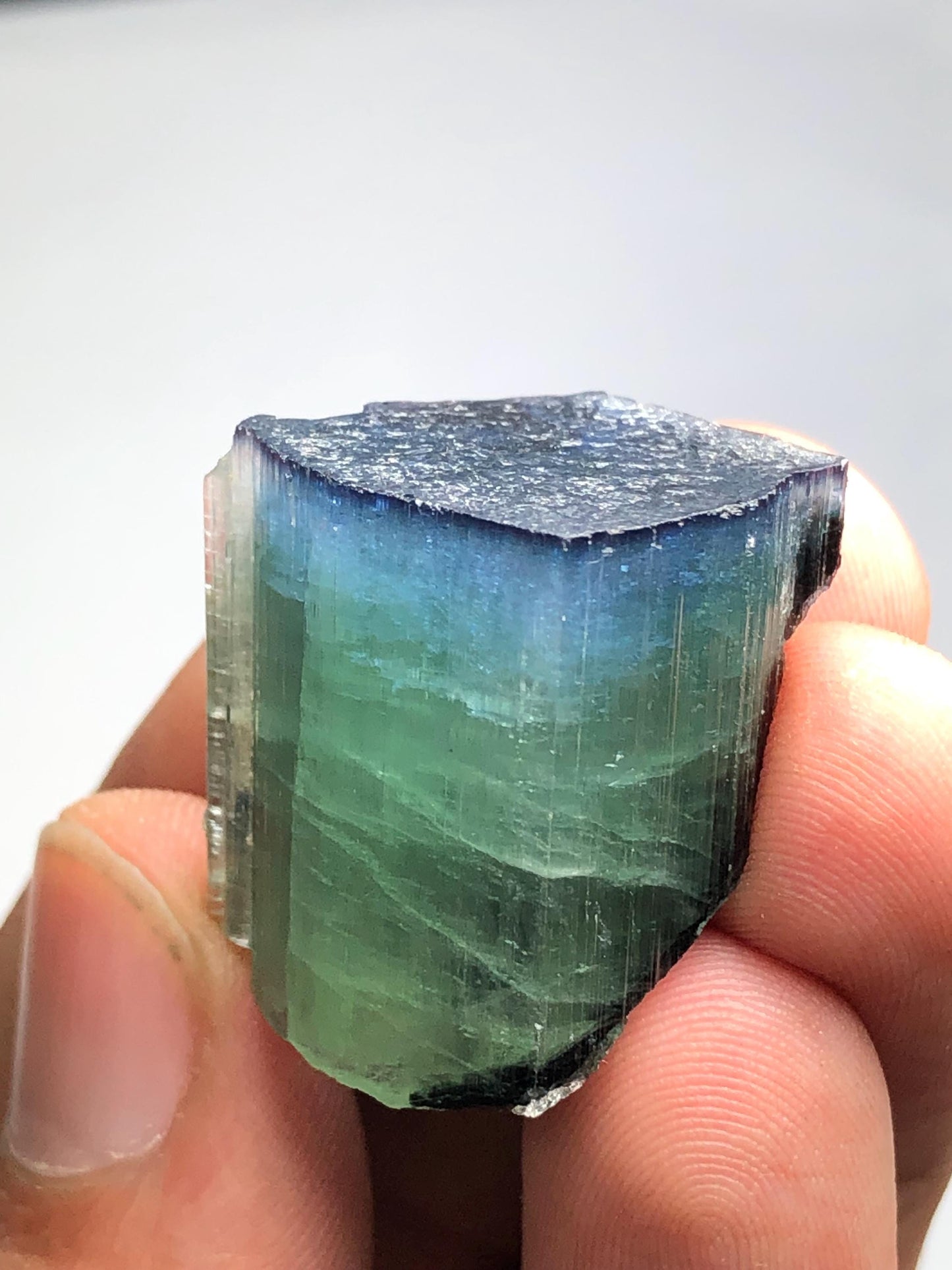 15.78 gram bi colour cat eye tourmaline crystal natural