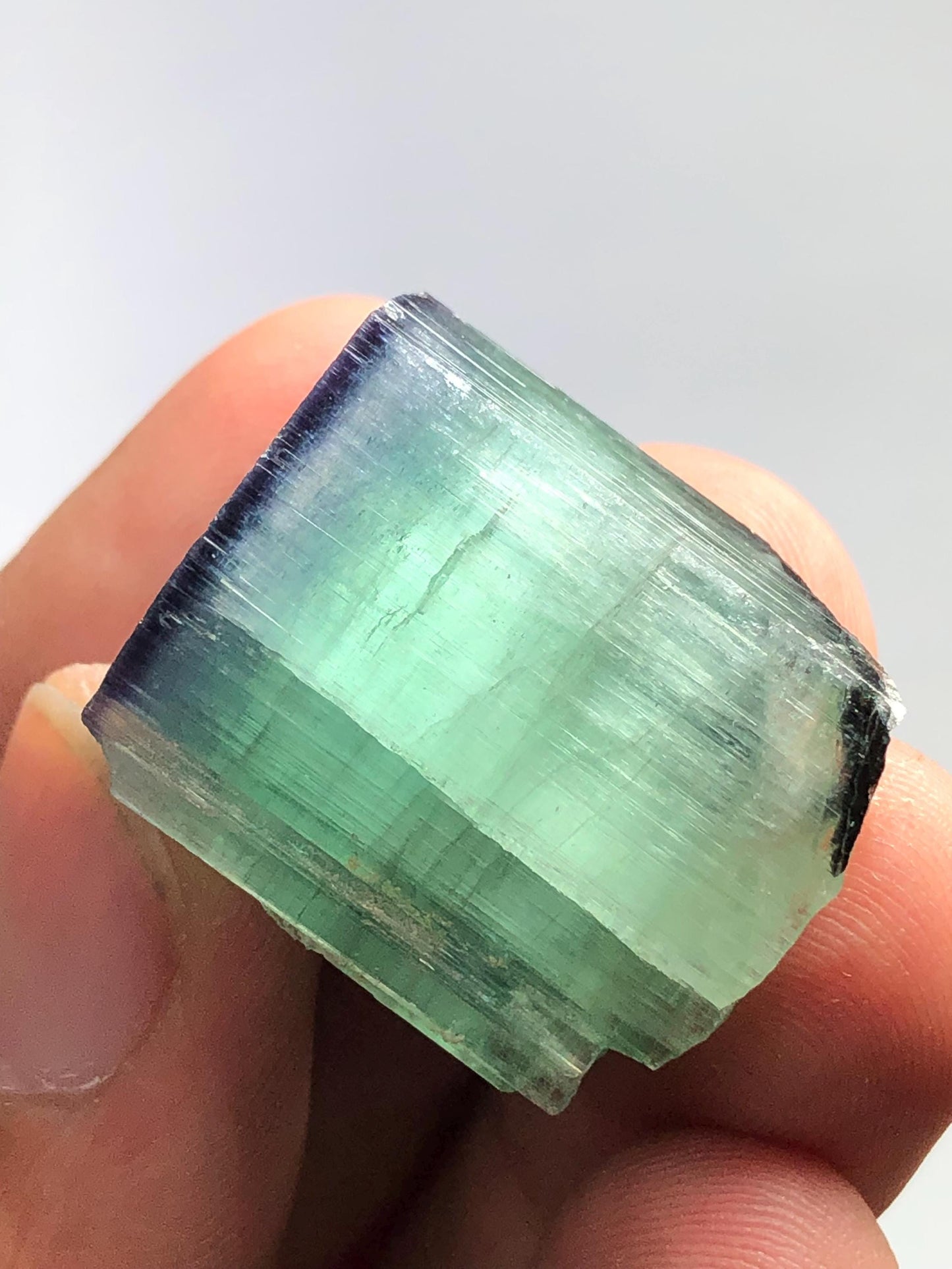 15.78 gram bi colour cat eye tourmaline crystal natural