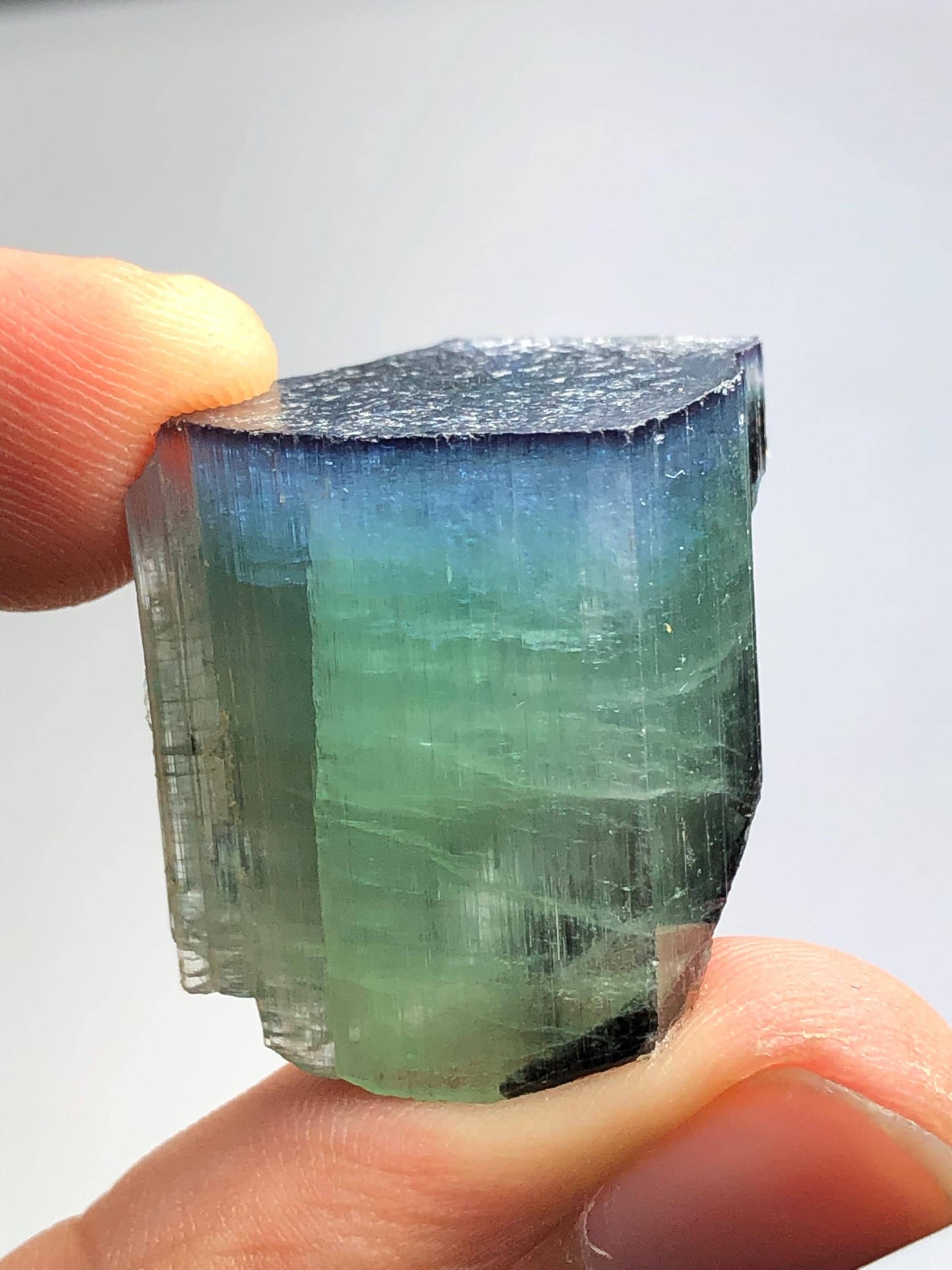 15.78 gram bi colour cat eye tourmaline crystal natural