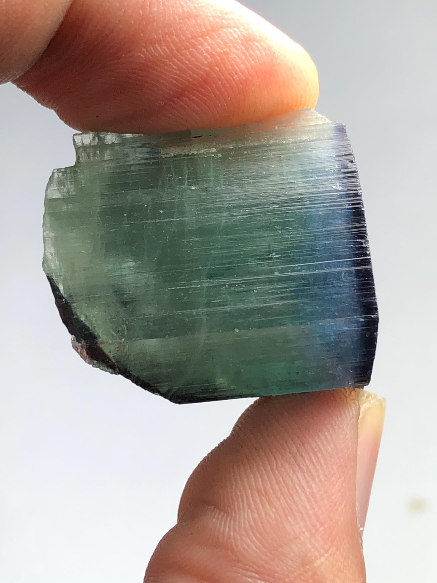 15.78 gram bi colour cat eye tourmaline crystal natural