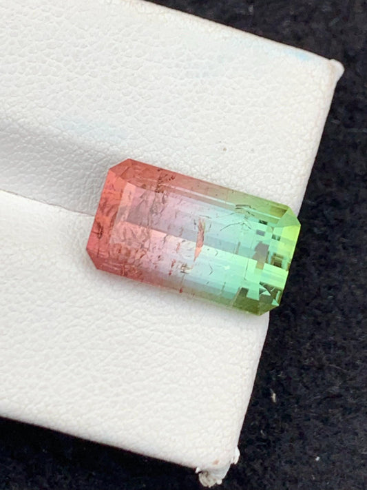 9.10 CTs watermelon tourmaline faceted natural