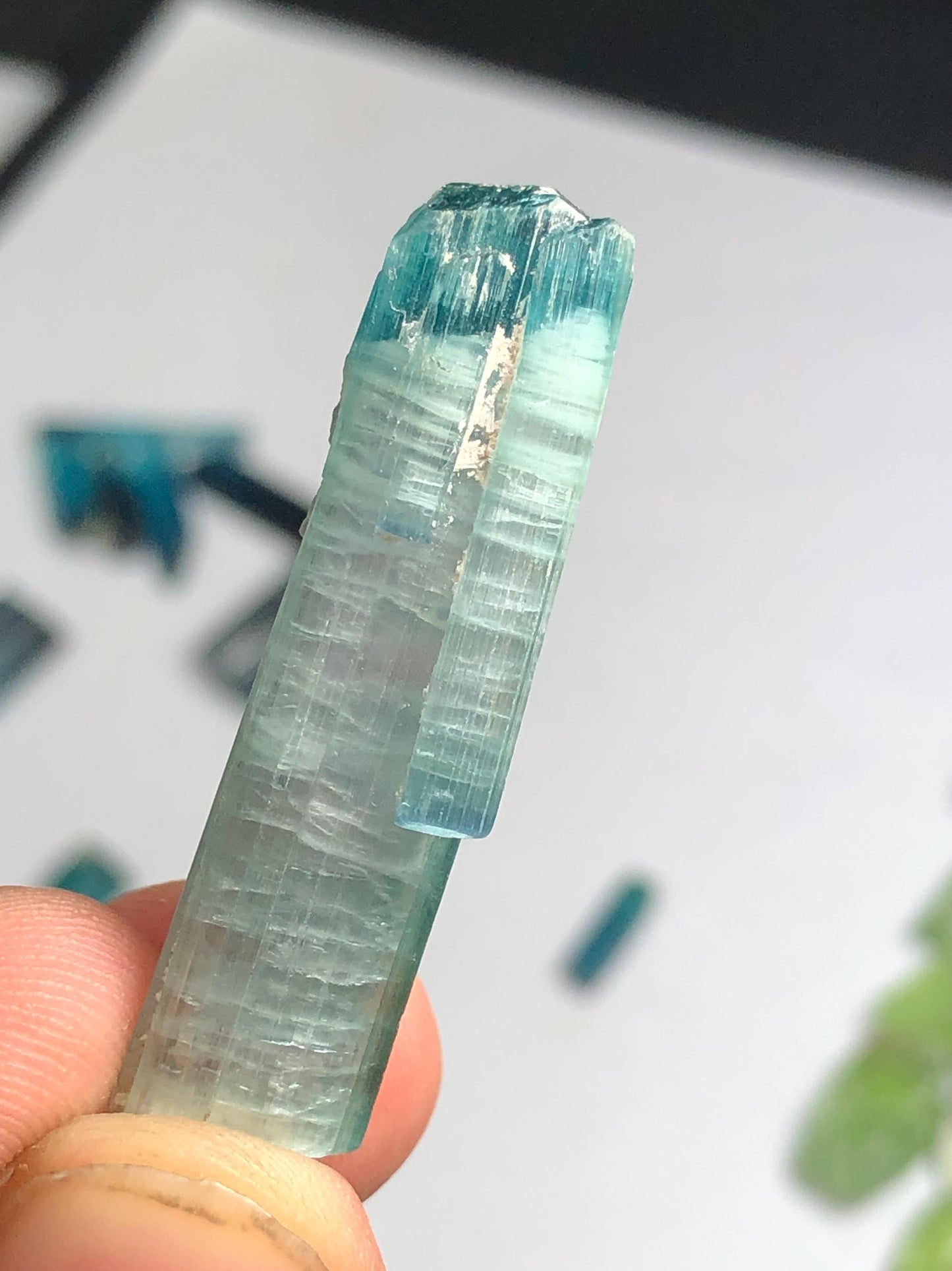 32 cts unique bi colour tourmaline crystal terminated