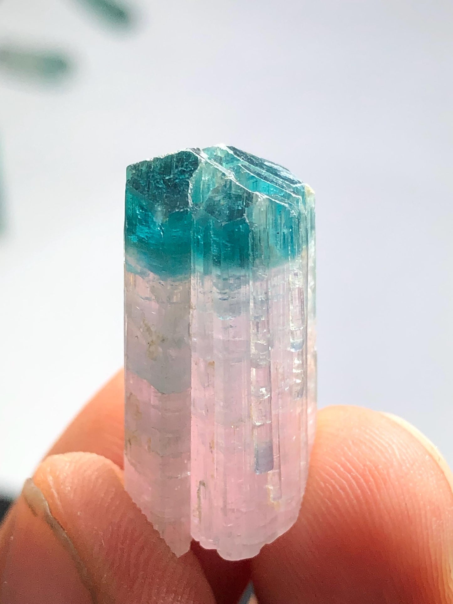 28.30 cts unique bi colour crystal terminated